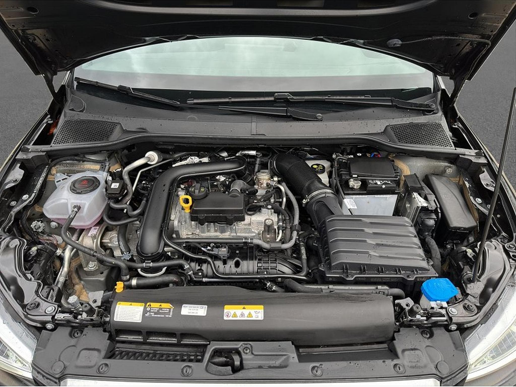 Seat Ibiza (2026) - Photo 22