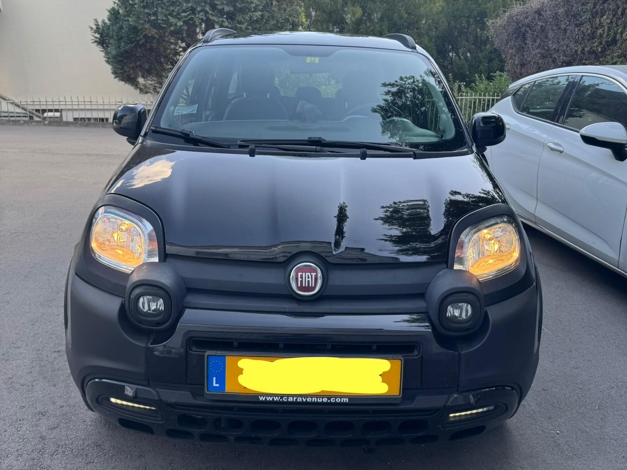 Fiat Panda Cross Hybride (2020) - Photo 2