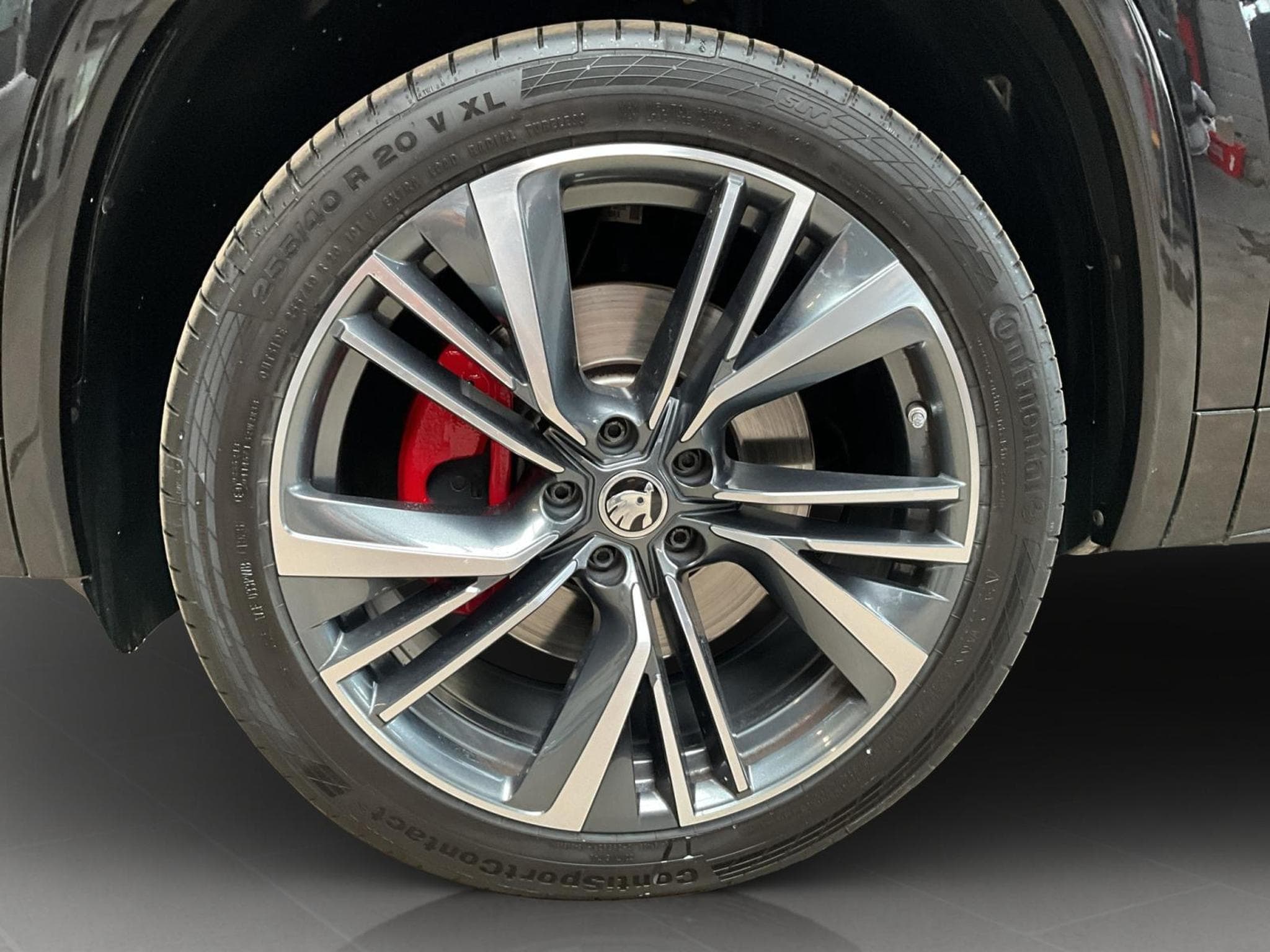 Skoda Kodiaq RS+DSG+4x4+Pano+AHK+Soundsytem+RearView (2024) - Foto 8