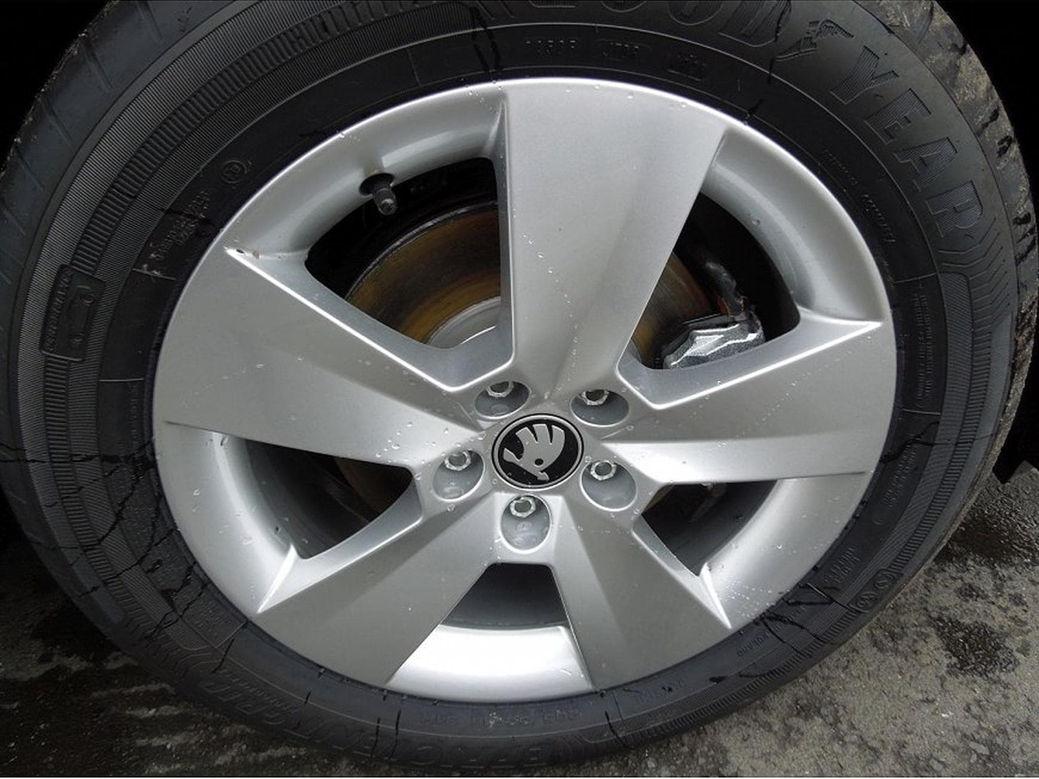 Skoda Scala (2026) - Photo 13