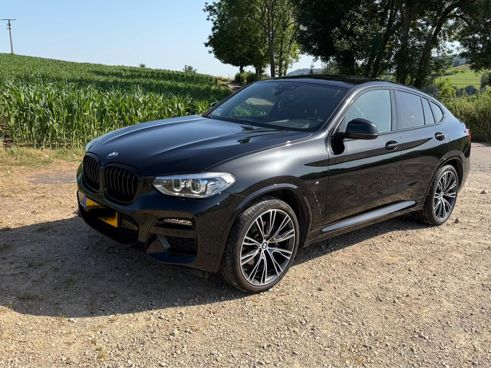 BMW X4 3.0 dA M (2020) - Photo 3