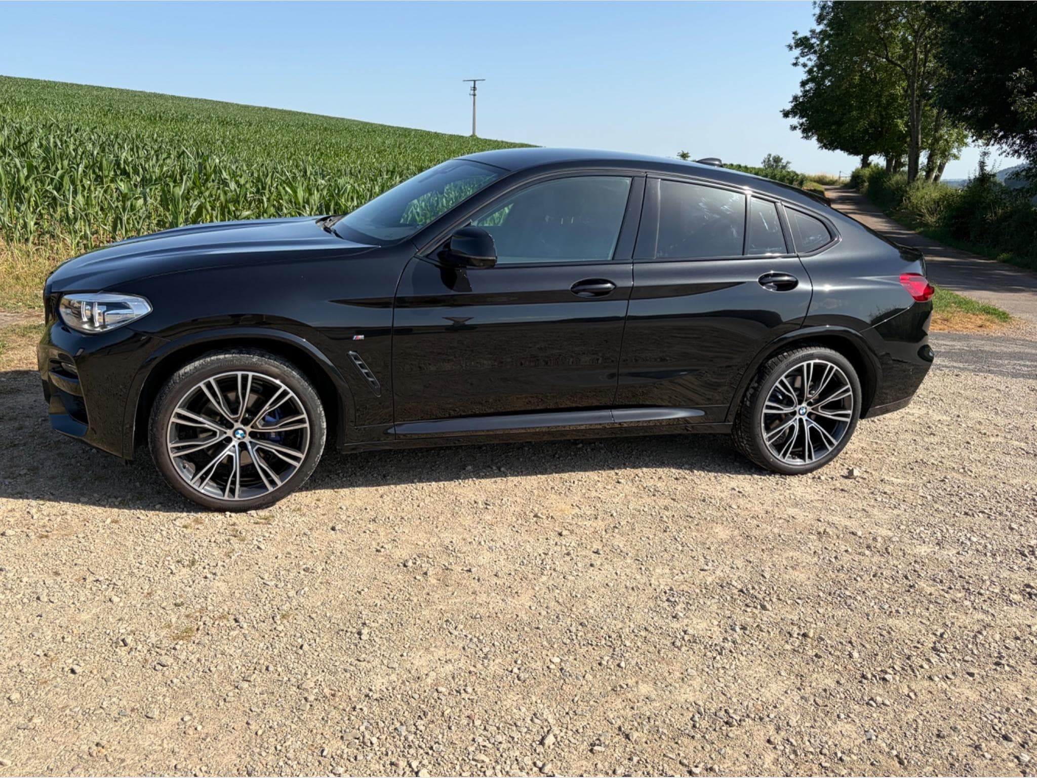 BMW X4 3.0 dA M (2020) - Photo 5