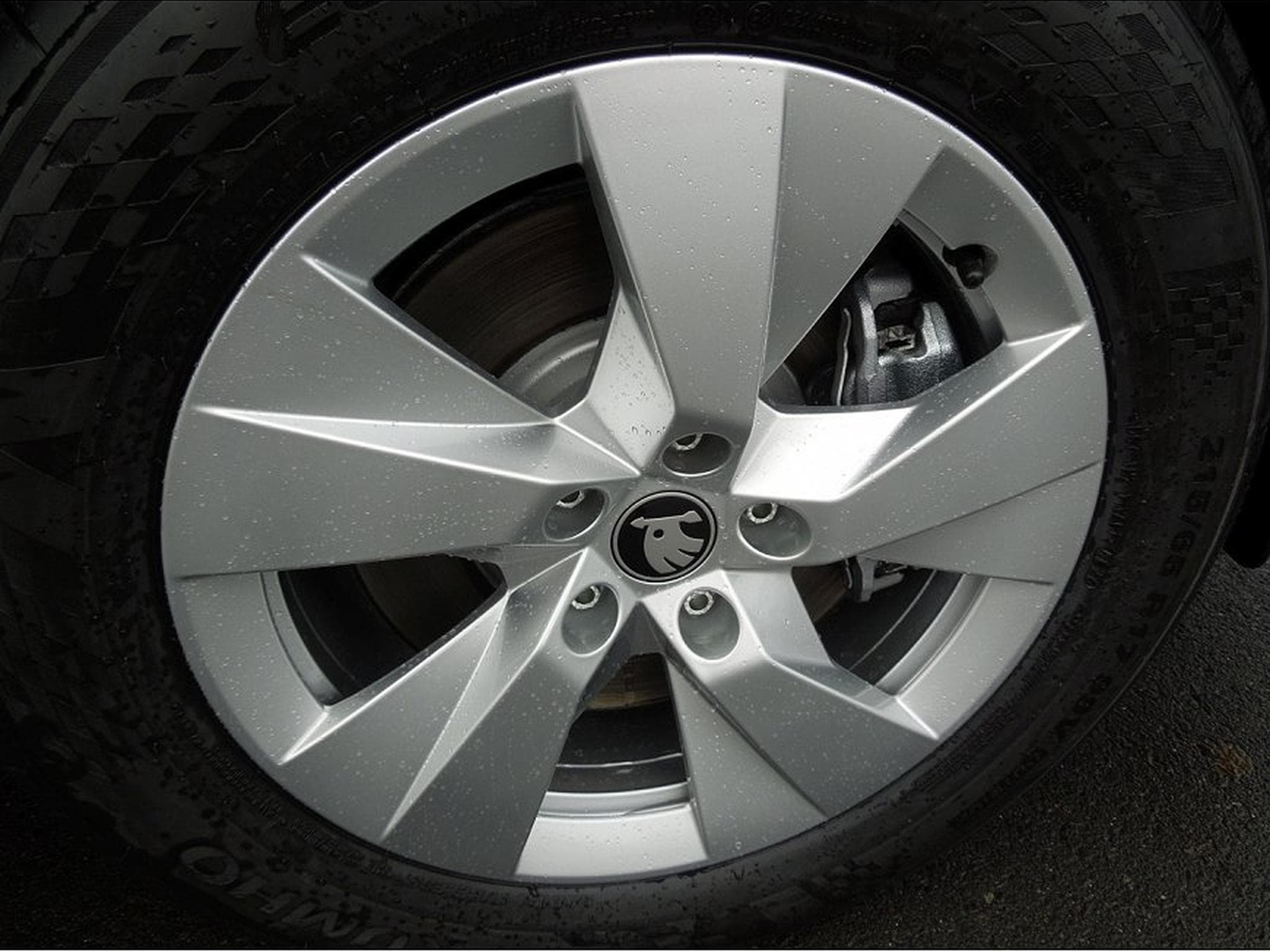 Skoda Kodiaq (2026) - Photo 14