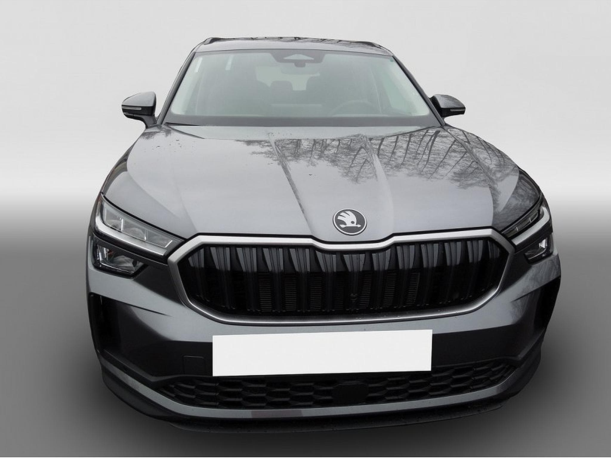 Skoda Kodiaq (2026) - Photo 2