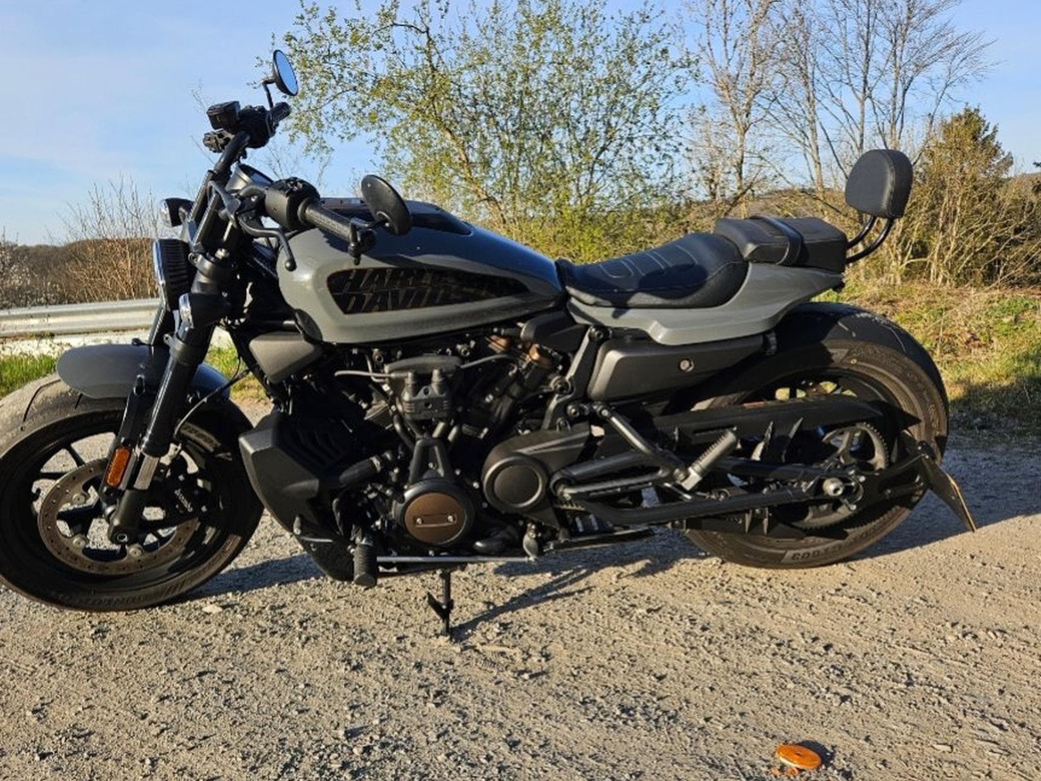 Harley-Davidson Sportster Sportster S 1250 (2021) - Photo 1
