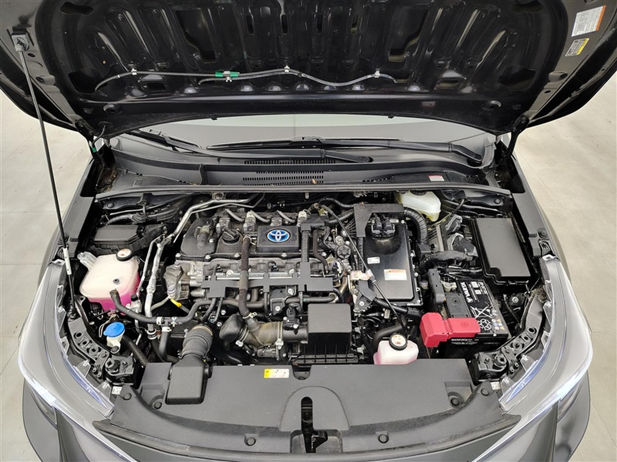 Toyota Corolla (2022) - Photo 19