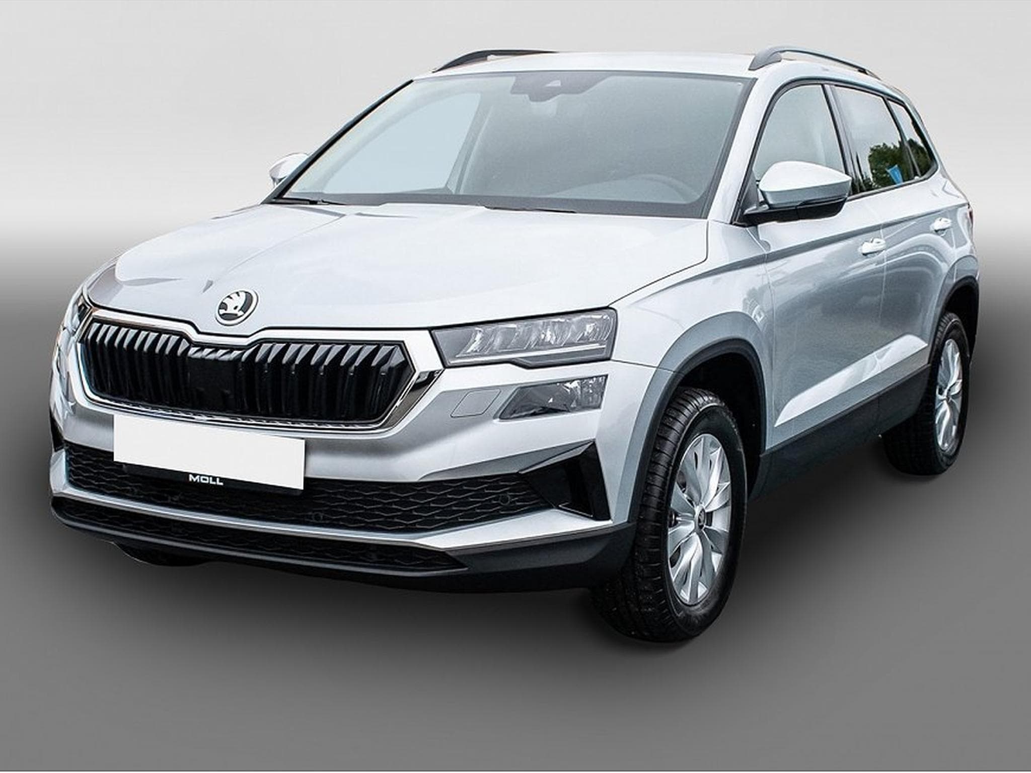 Skoda Karoq (2026) - Foto 1
