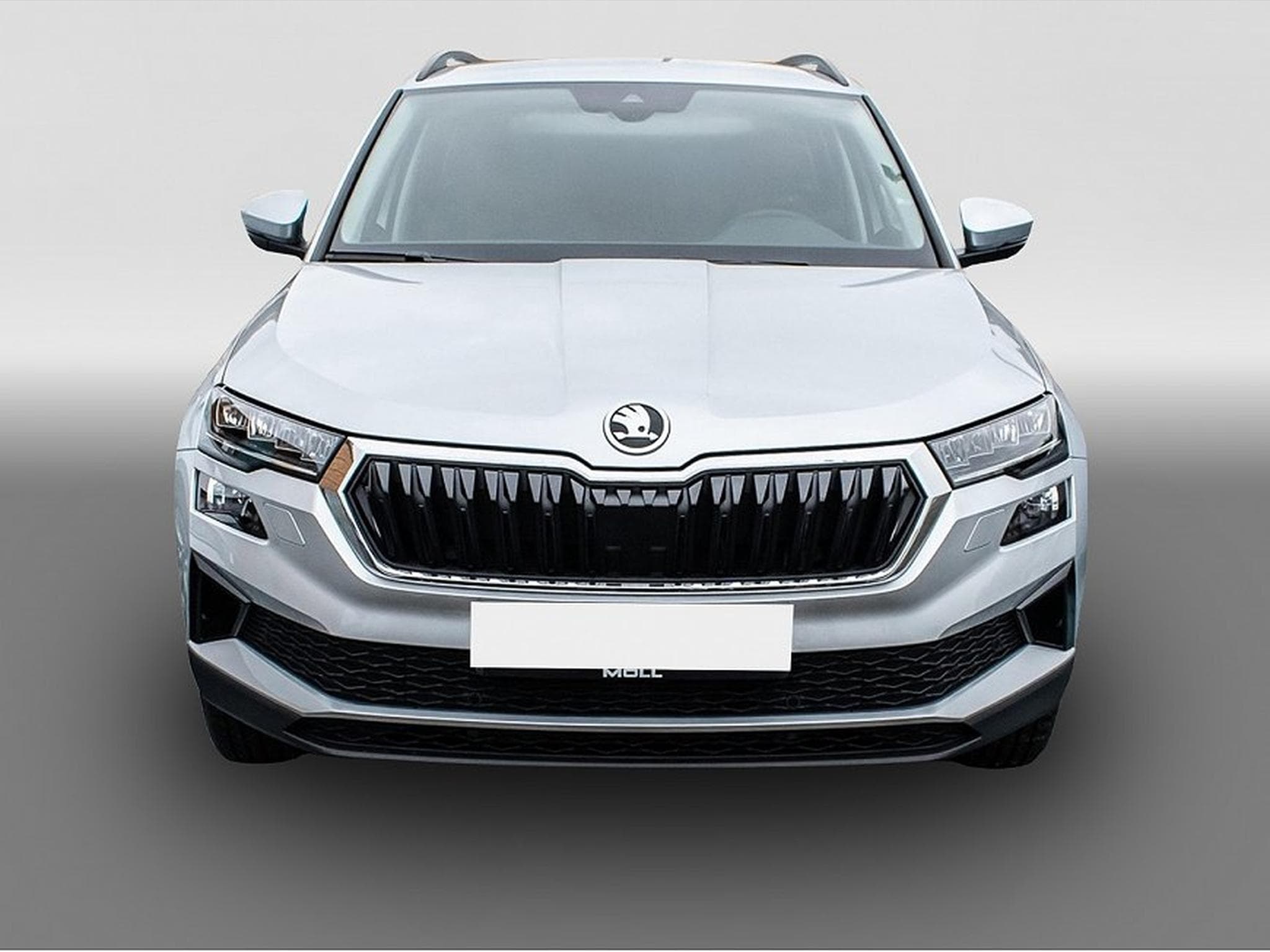 Skoda Karoq (2026) - Foto 2