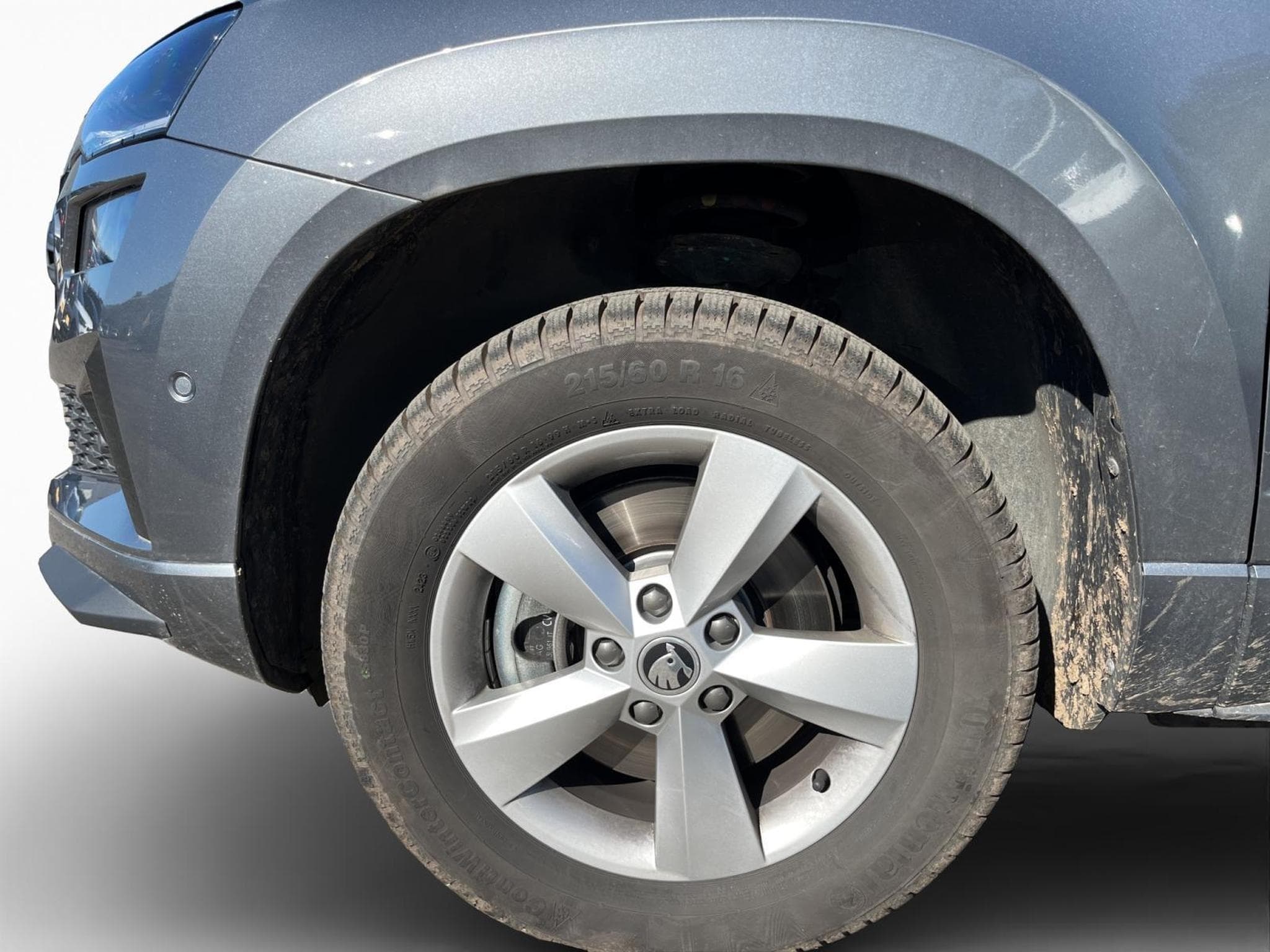 Skoda Karoq Sportline (2025) - Photo 5