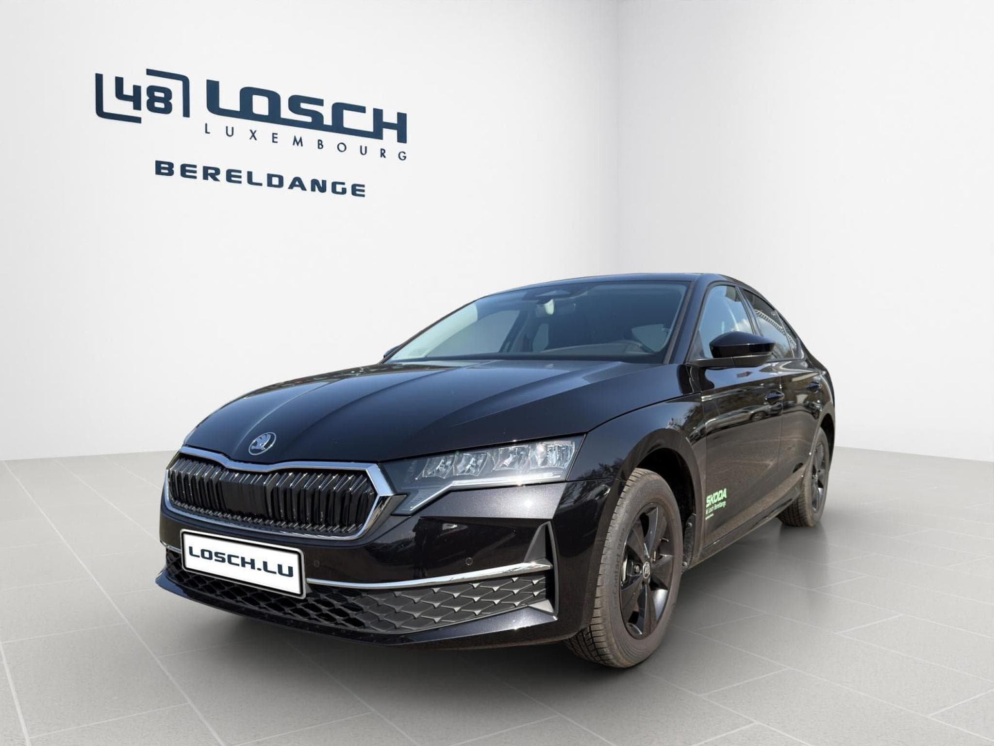 Skoda Octavia Selection (2026) - Foto 3