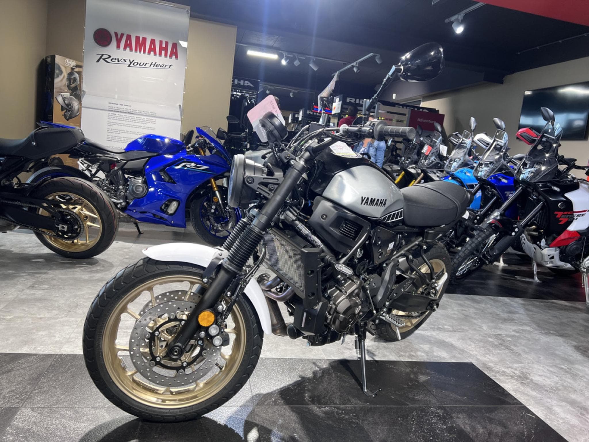 Yamaha XSR LEGACY (2026) - Photo 2