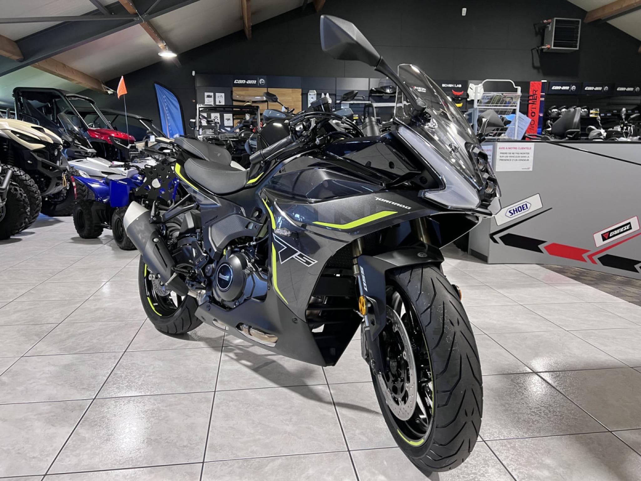 Benelli Tornado 550 (2026) - Photo 7