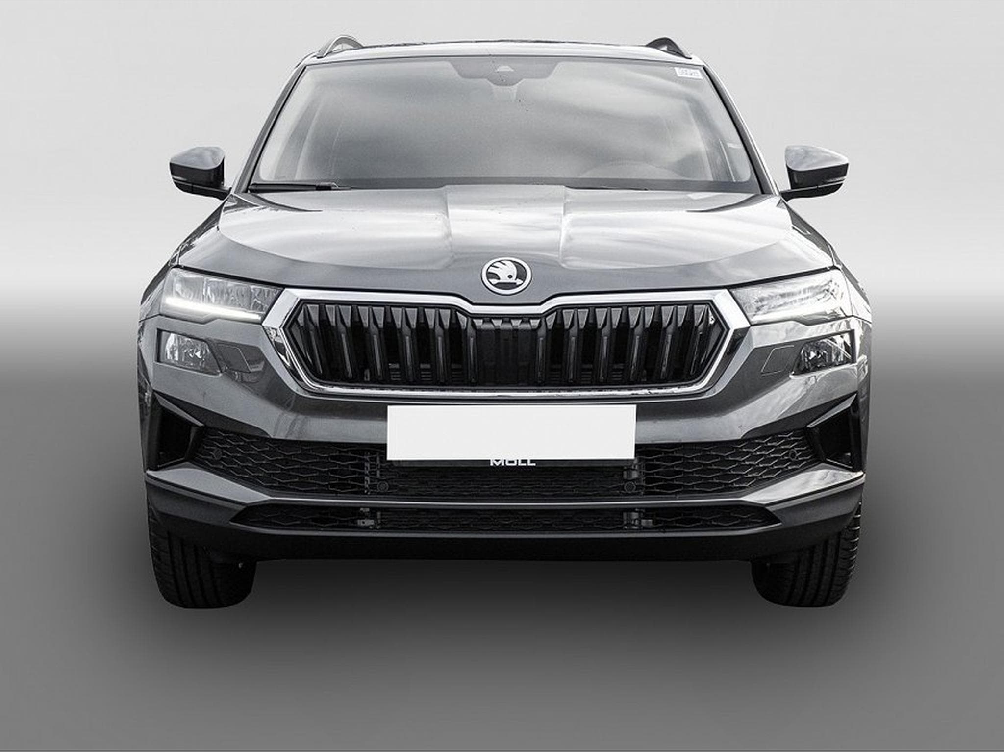 Skoda Karoq (2026) - Foto 2