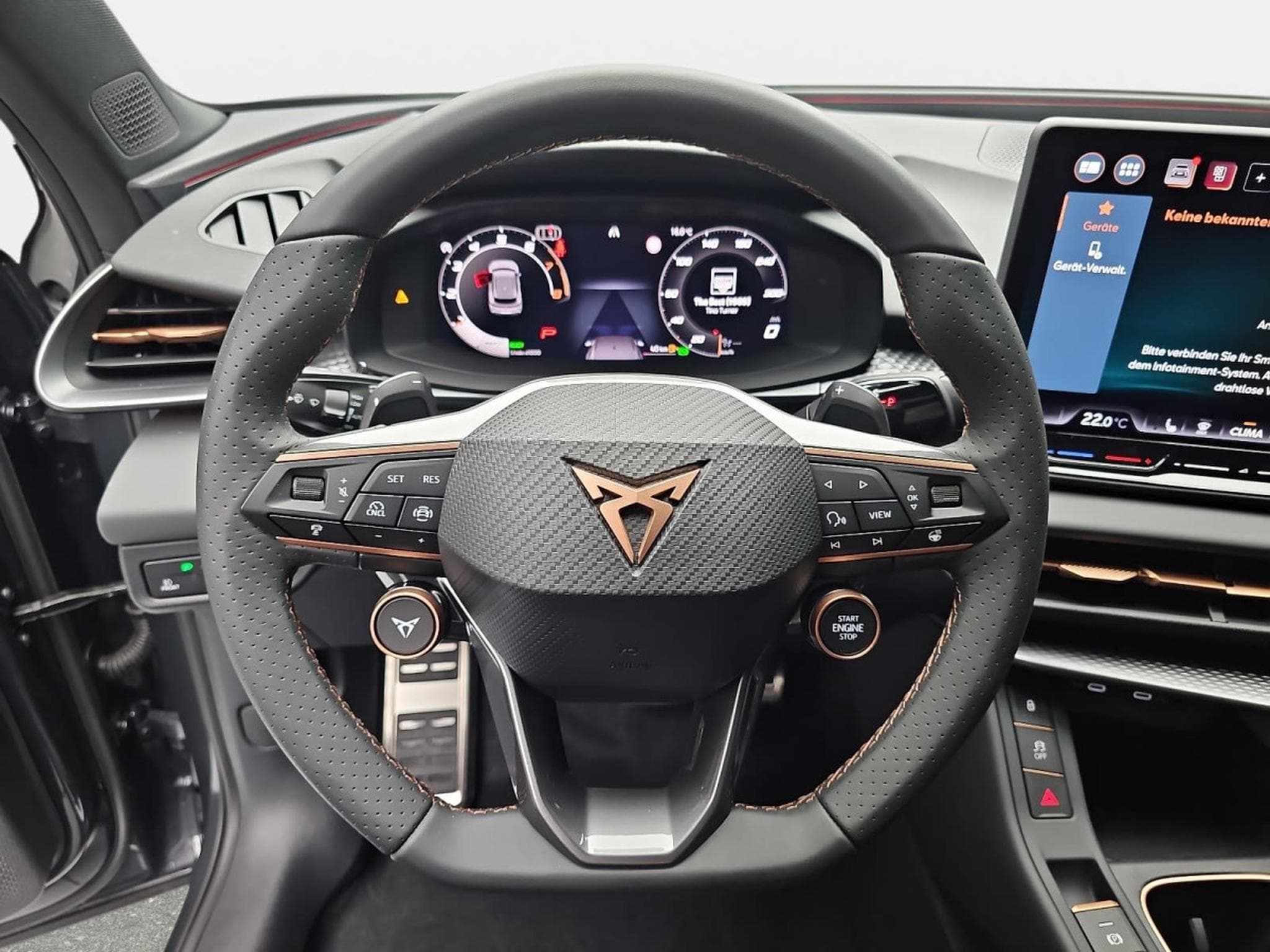 Cupra Terramar 1.5 eTSI DSG 150 (2026) - Photo 13