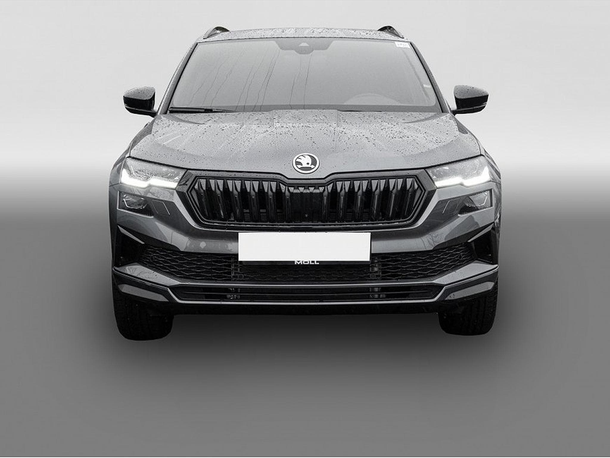 Skoda Karoq (2026) - Foto 2