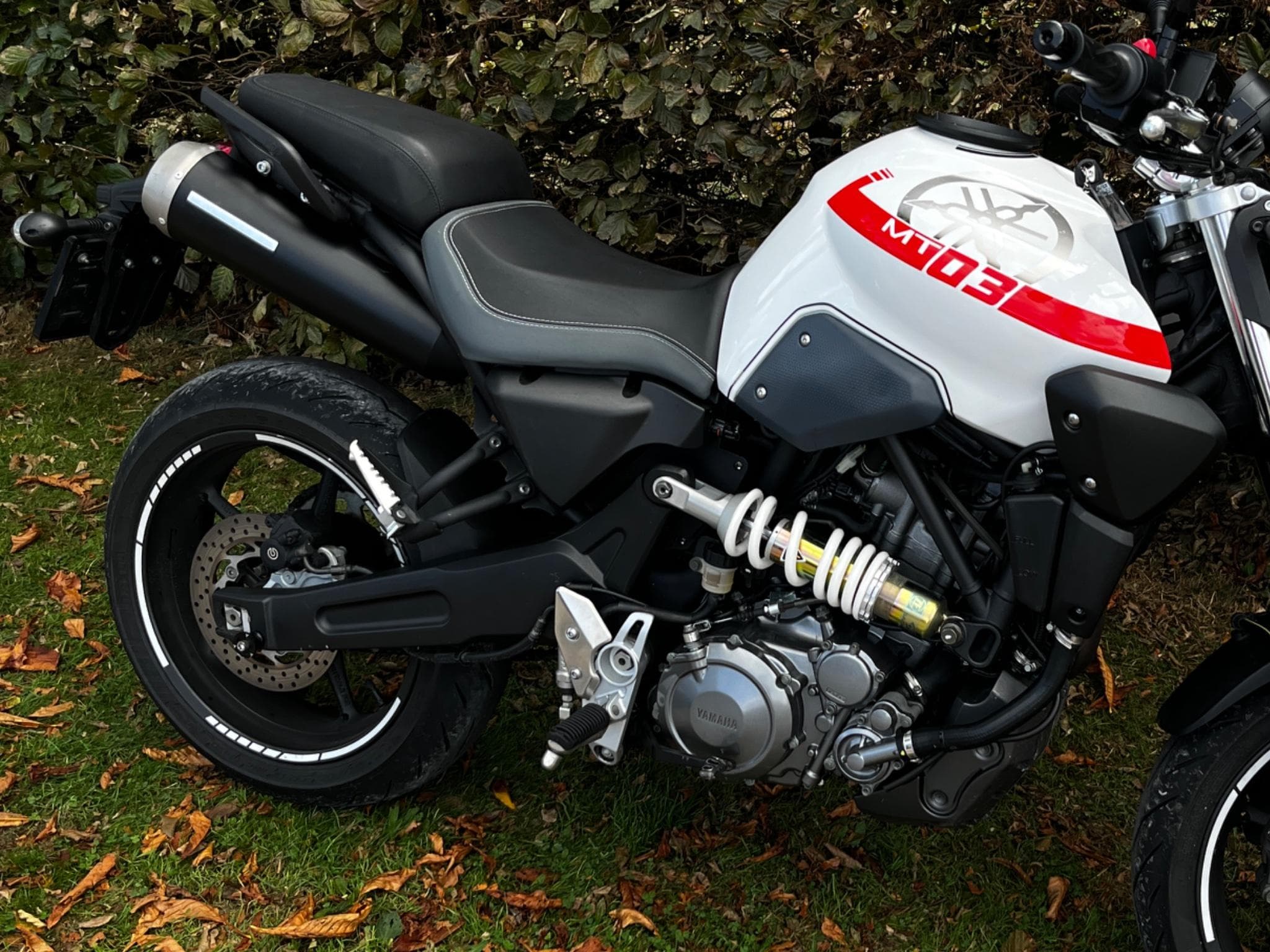 Yamaha MT03 Roadster (2007) - Photo 3