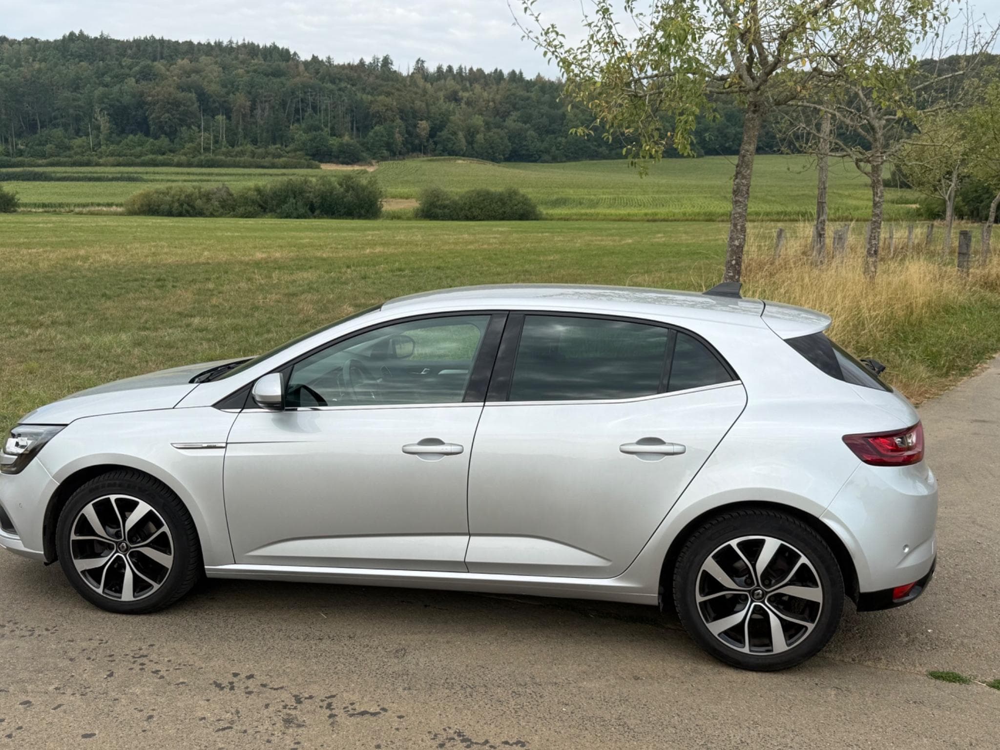 Renault Megane Bose Edition blue dCi 115 (2020) - Photo 13
