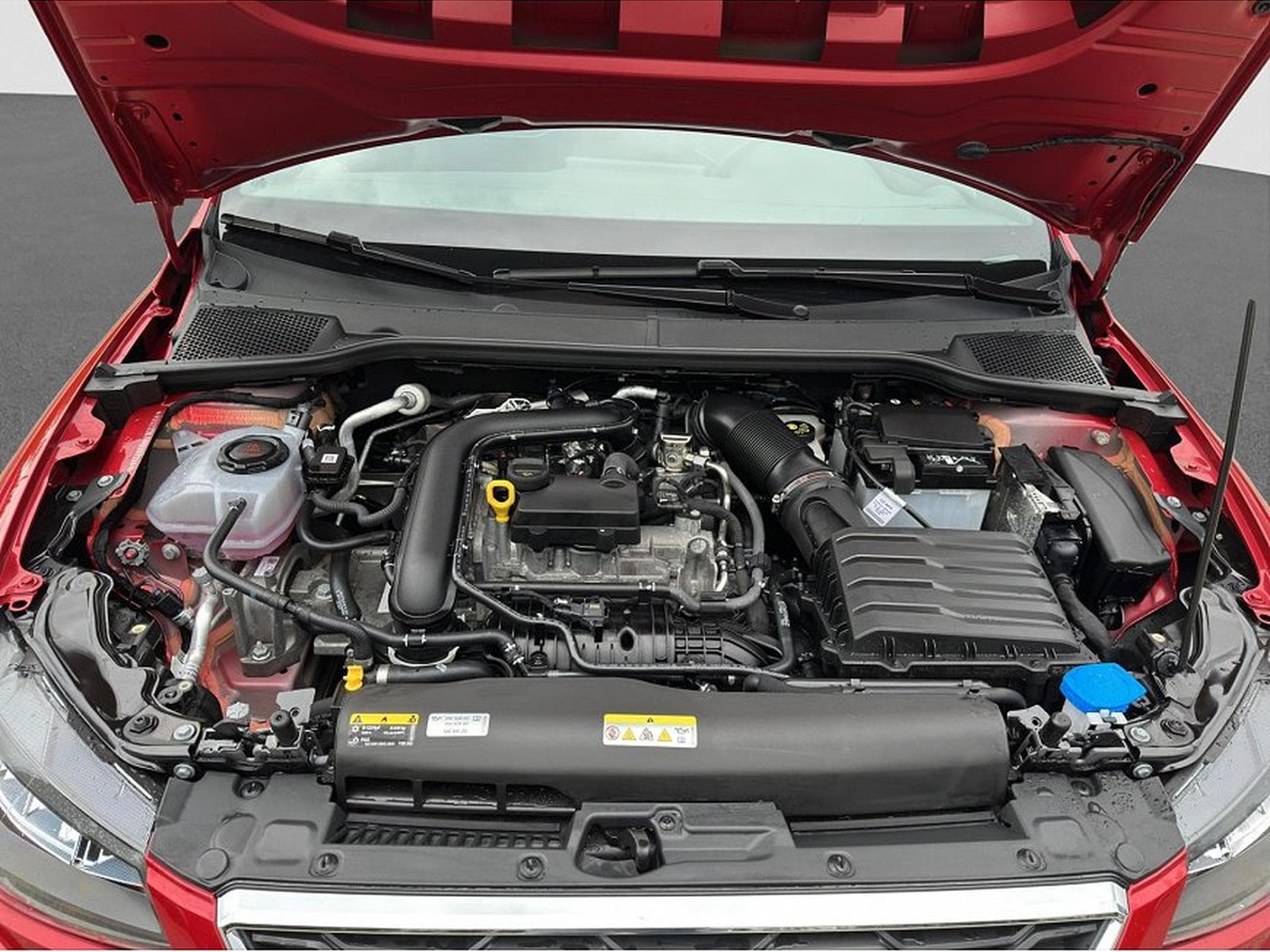 Seat Ibiza (2026) - Photo 19