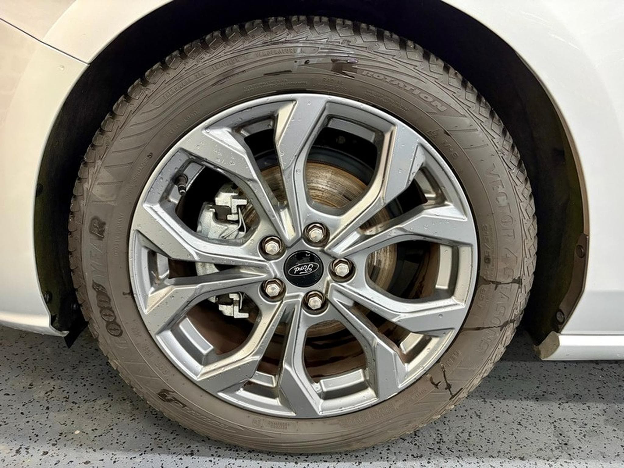 Ford Focus Focus EcoBoost 155cv Auto ST-LINE (2025) - Photo 3