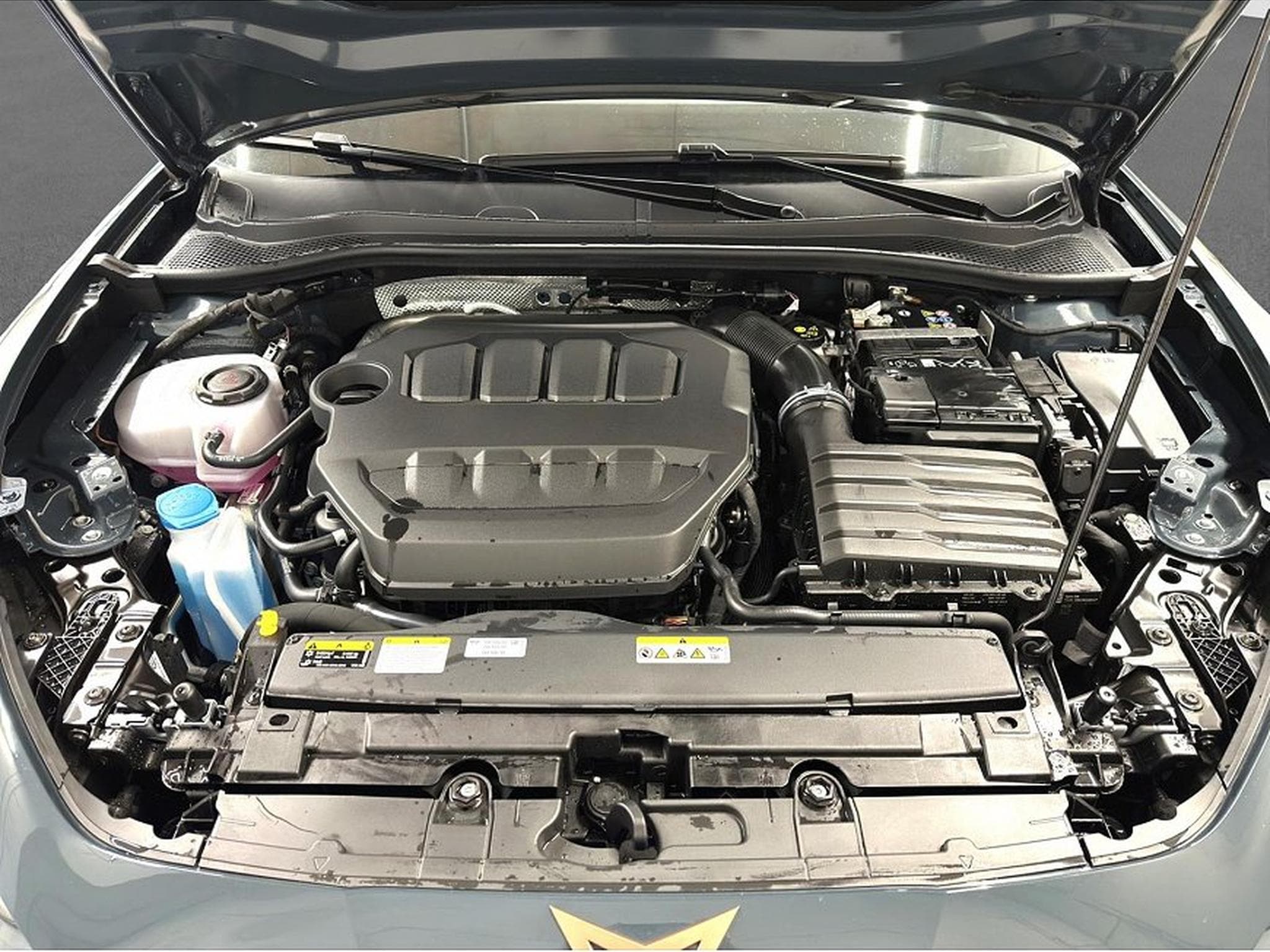 Cupra Leon (2026) - Foto 19