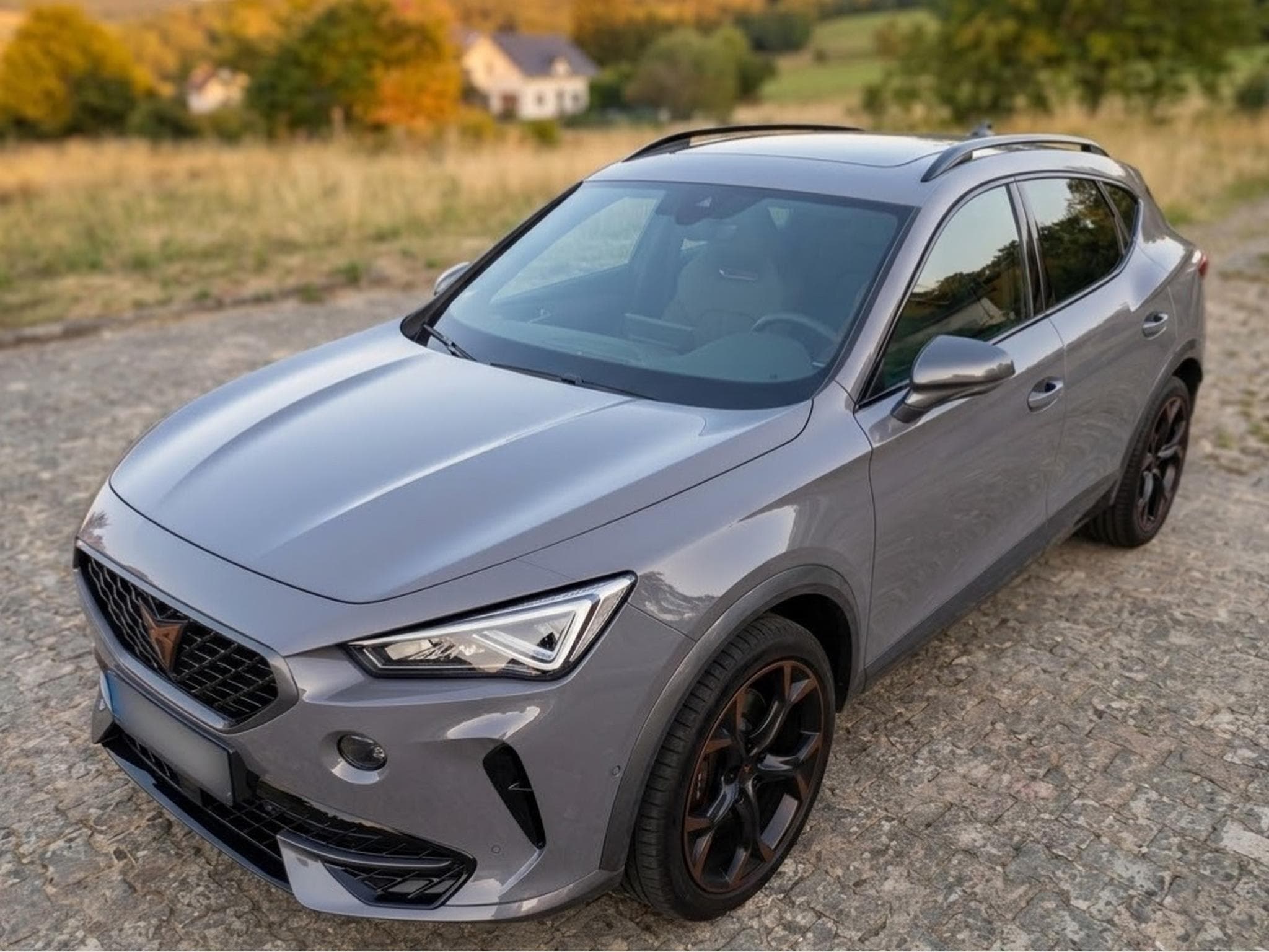 Cupra Formentor VZ 2.0 TSI (4 DRIVE) (2021) - Photo 1