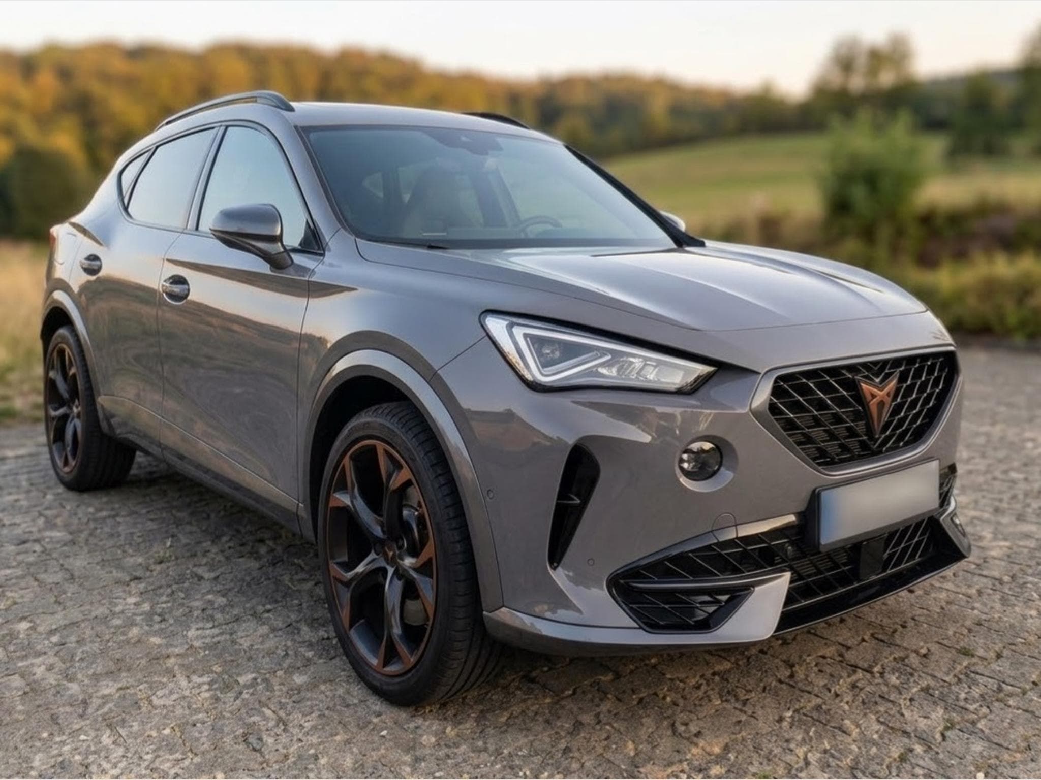 Cupra Formentor VZ 2.0 TSI (4 DRIVE) (2021) - Photo 2
