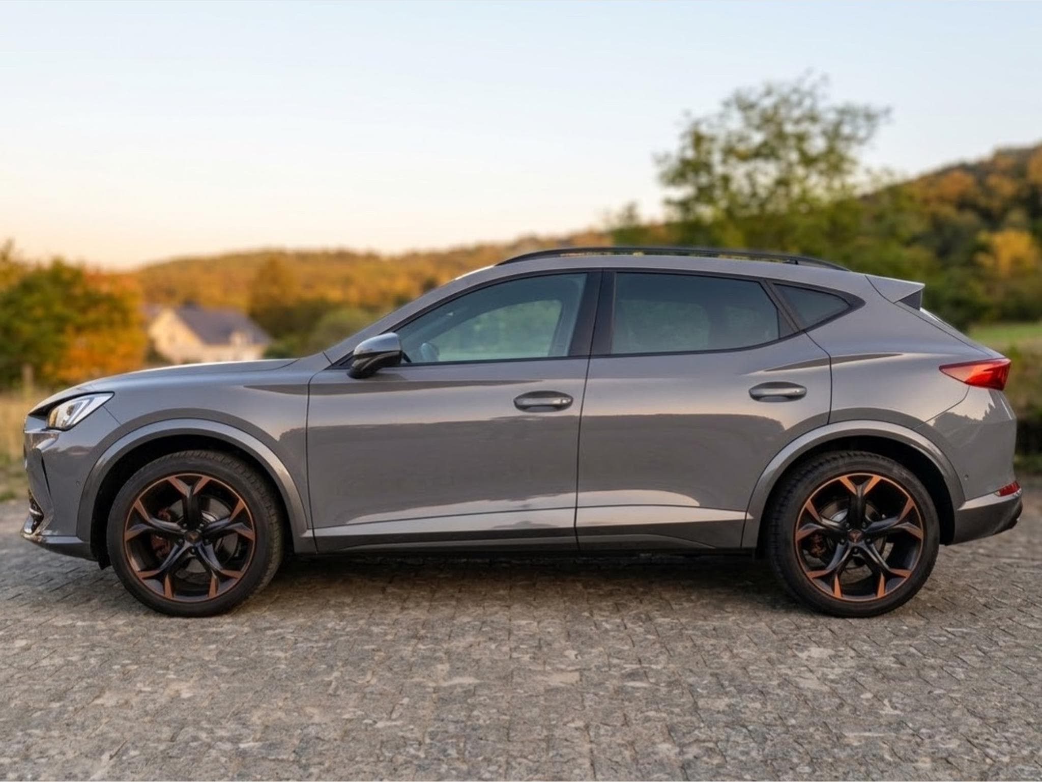 Cupra Formentor VZ 2.0 TSI (4 DRIVE) (2021) - Photo 3