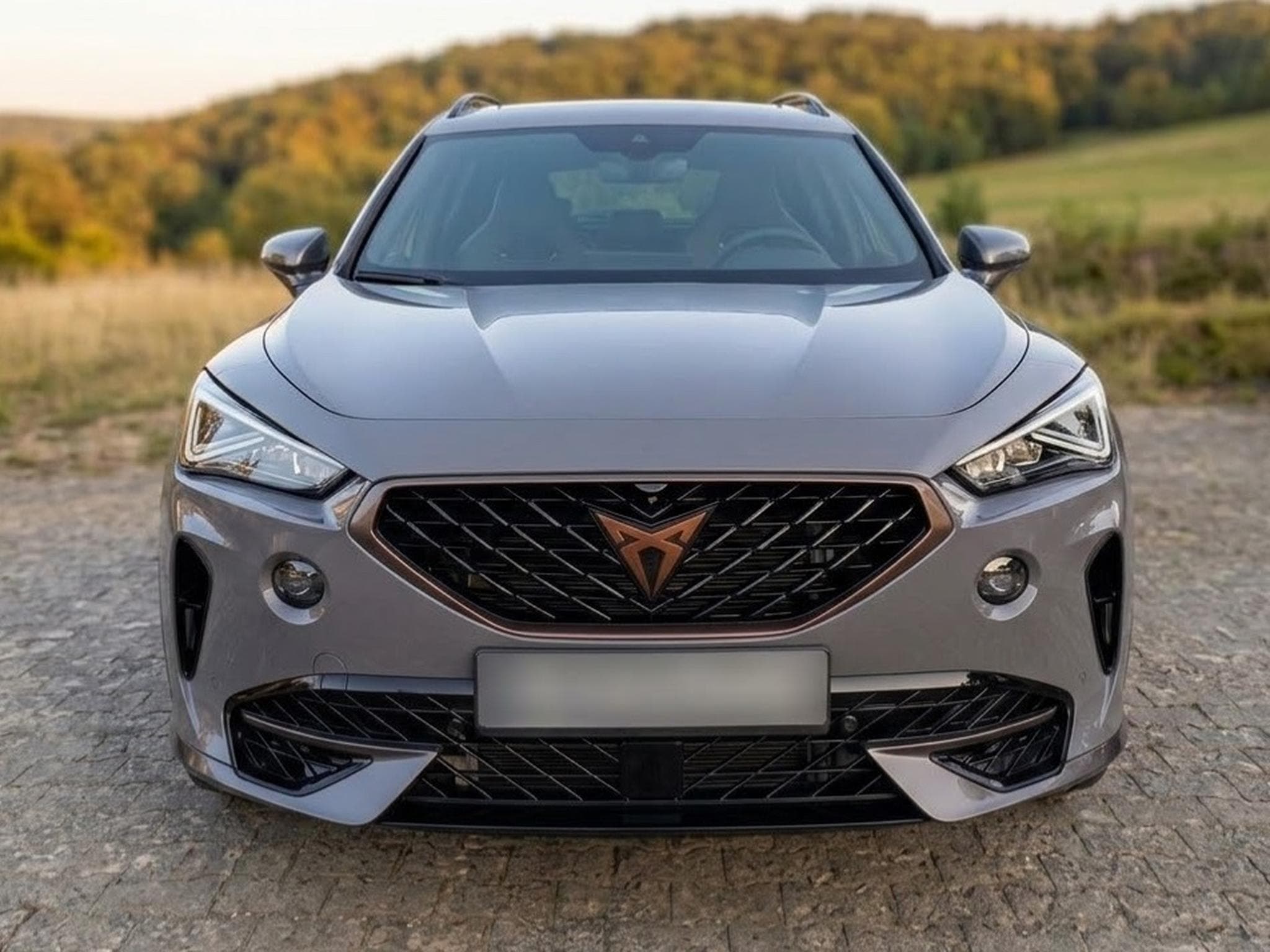 Cupra Formentor VZ 2.0 TSI (4 DRIVE) (2021) - Photo 4