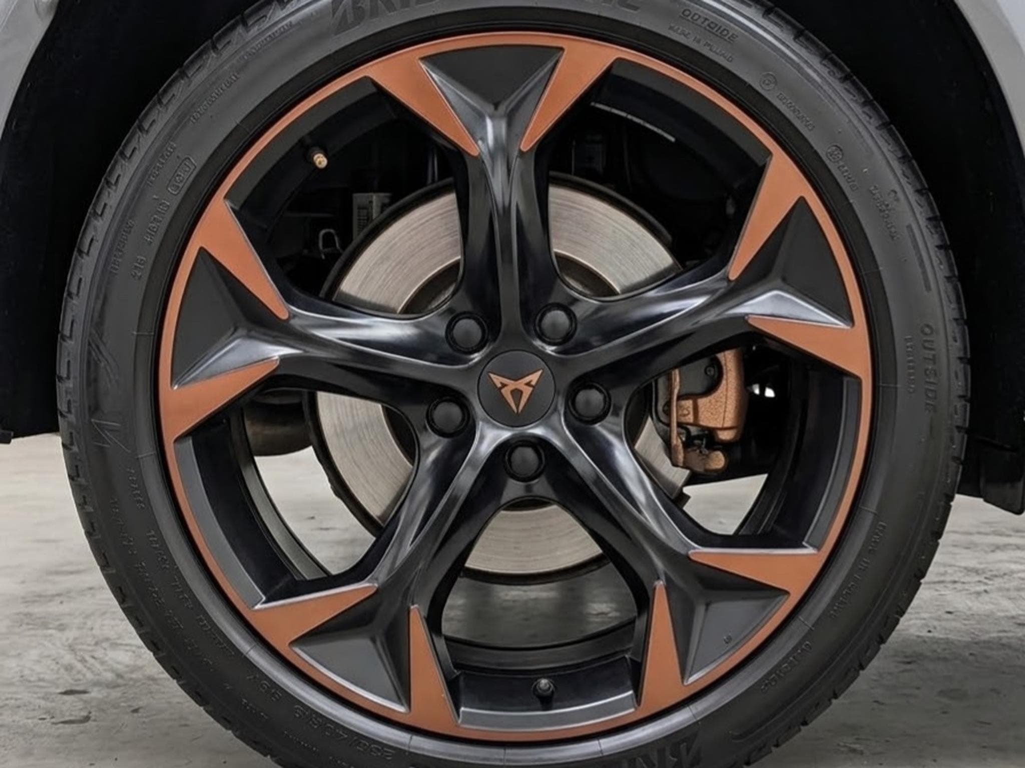 Cupra Formentor VZ 2.0 TSI (4 DRIVE) (2021) - Photo 9