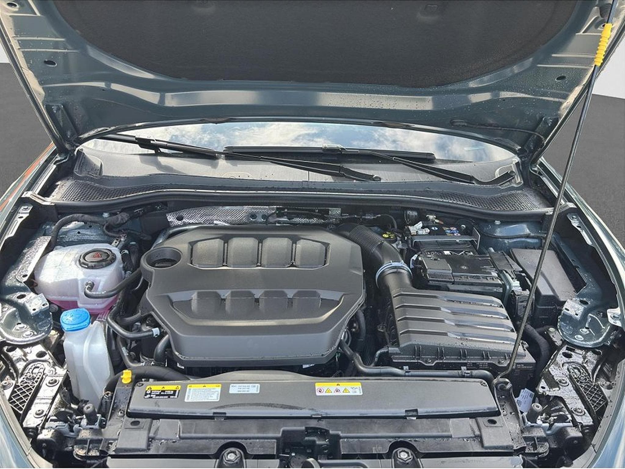 Cupra Leon (2026) - Foto 19