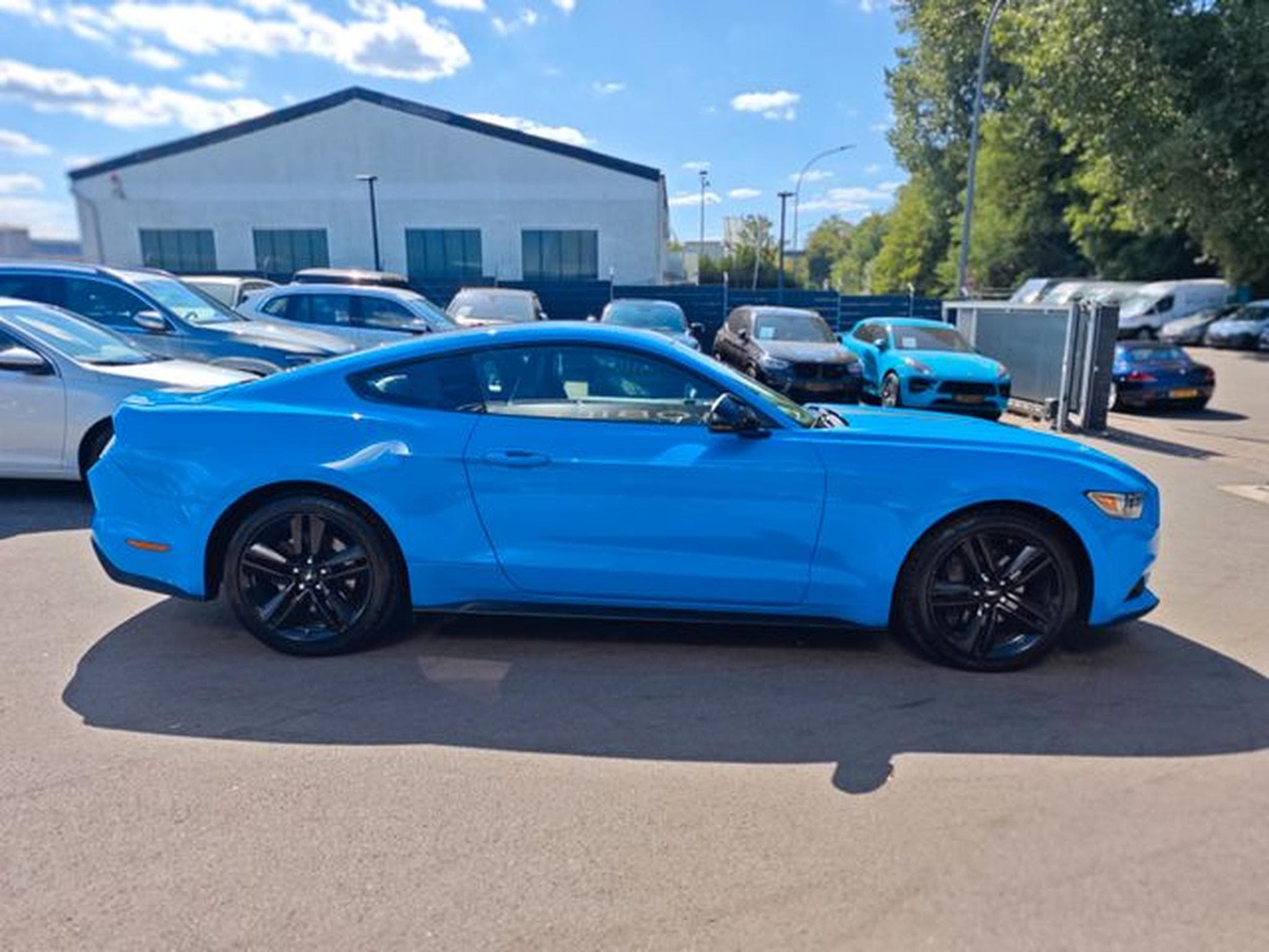 Ford Mustang MUSTANG GT *EU-MODELL*COC*NAVI*KAMERA* (2017) - Photo 14