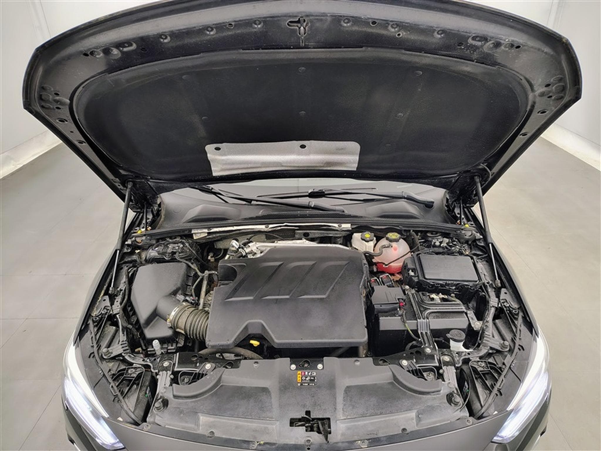 Opel Insignia 1.5 Turbo D 122Cv AT Elegance CARPLAY / FULL LED / CAMERA (2021) - Photo 19