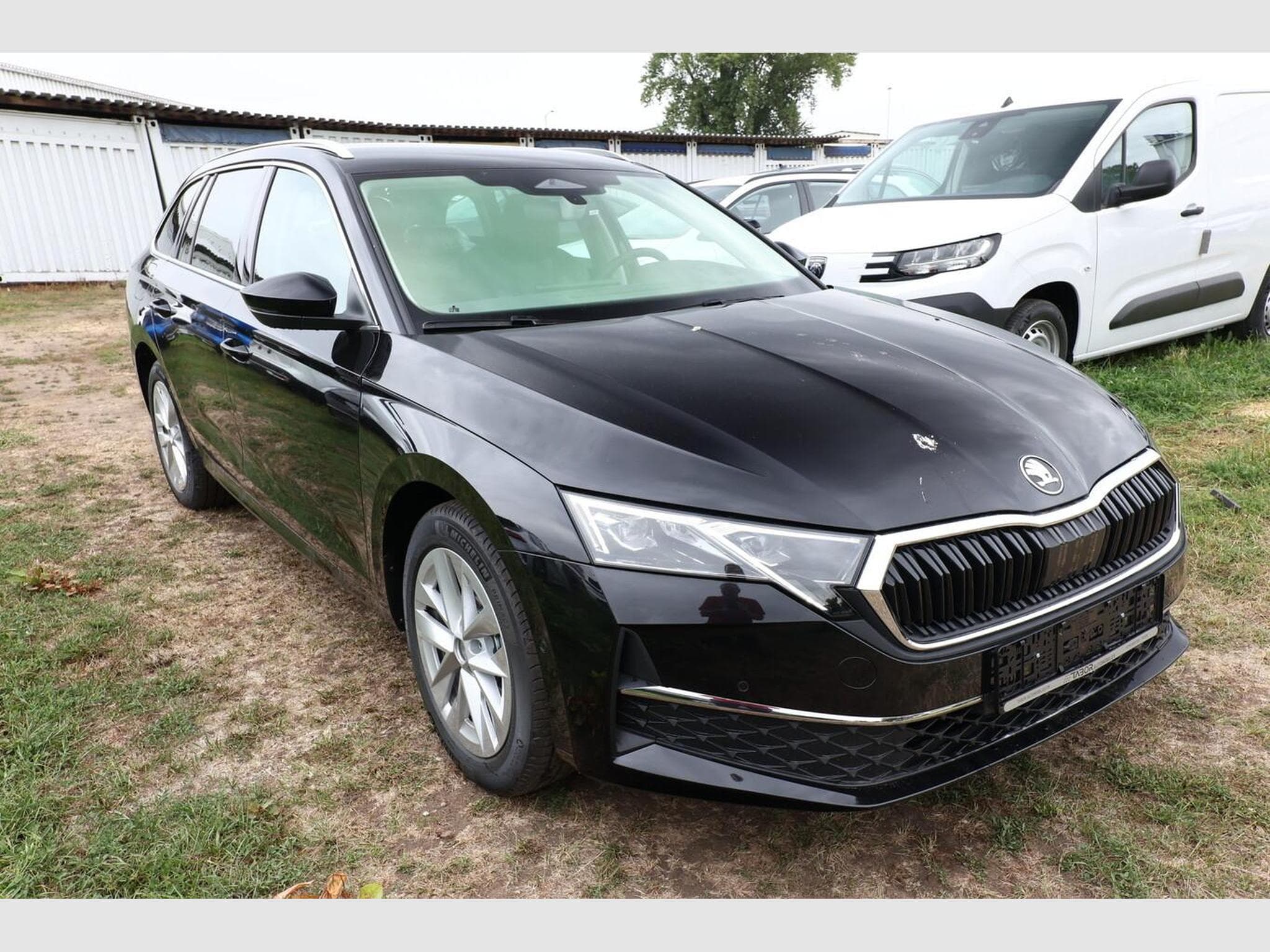Skoda Octavia Selection (2025) - Foto 2