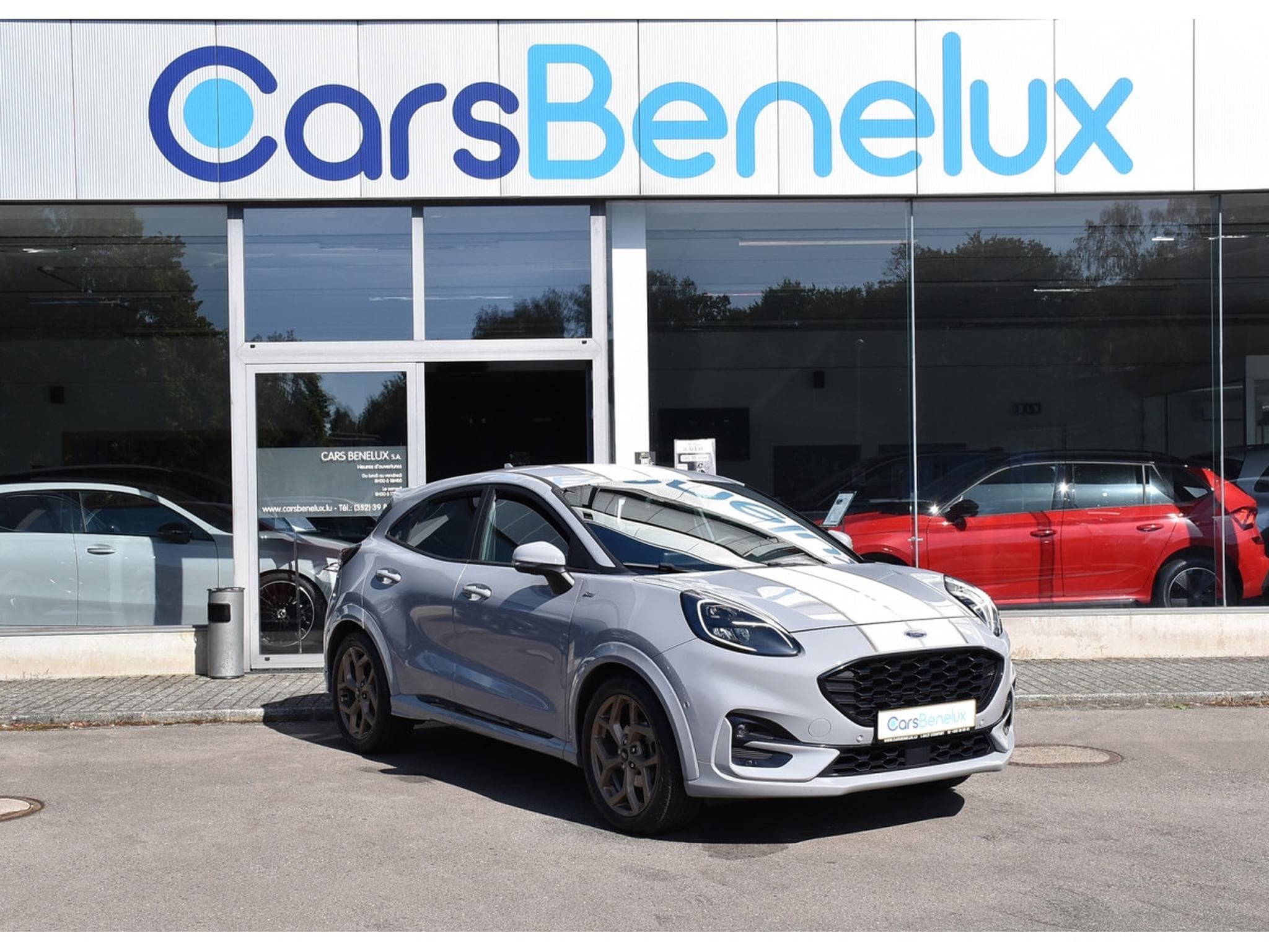 Ford Puma 1.0 EcoBoost MHEV ST-Line ACC SG MASS B&O PARK CAM 1° MAIN (2023) - Foto 1