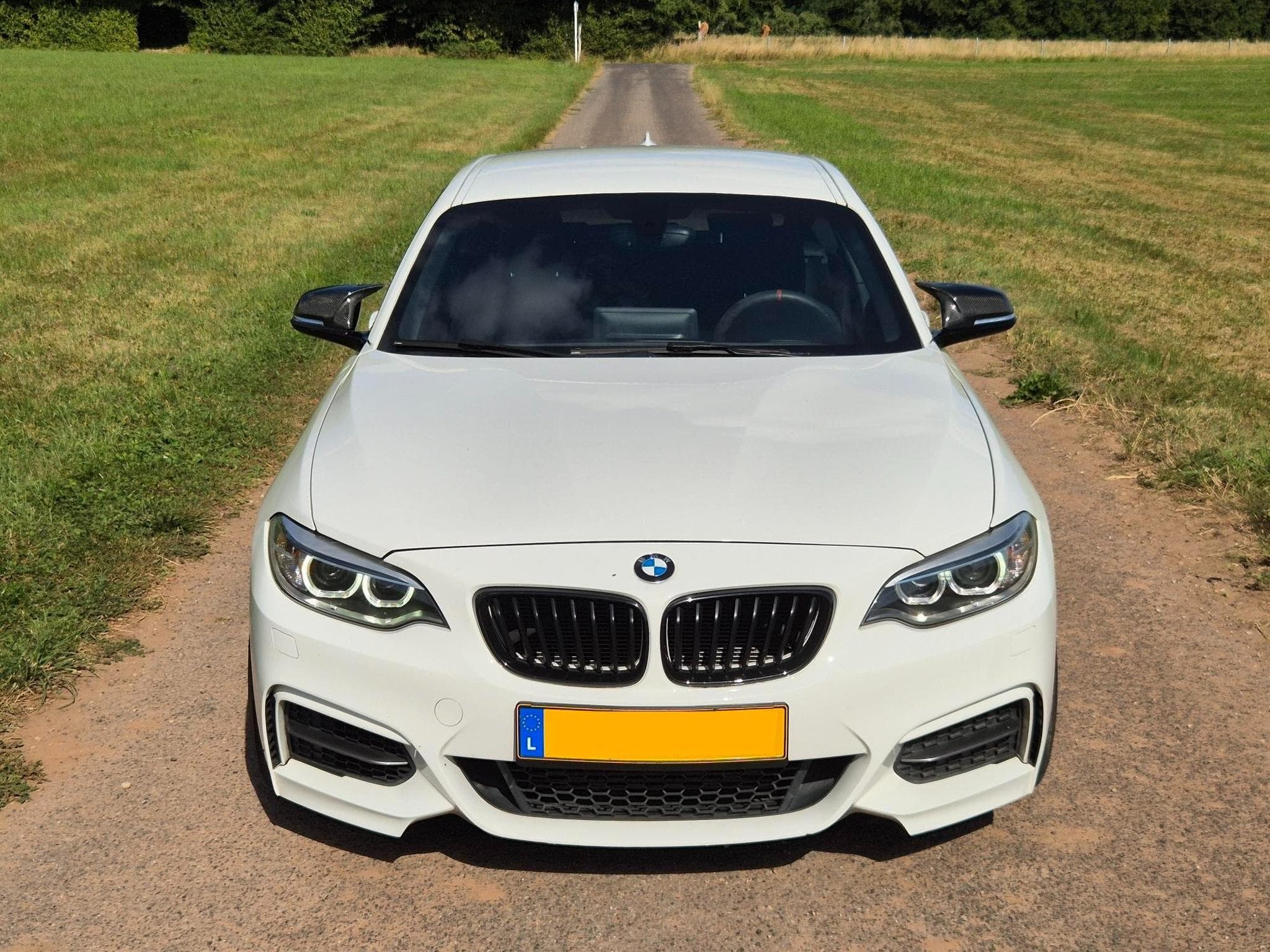 BMW M135 F21 Handschalter (2013) - Foto 2