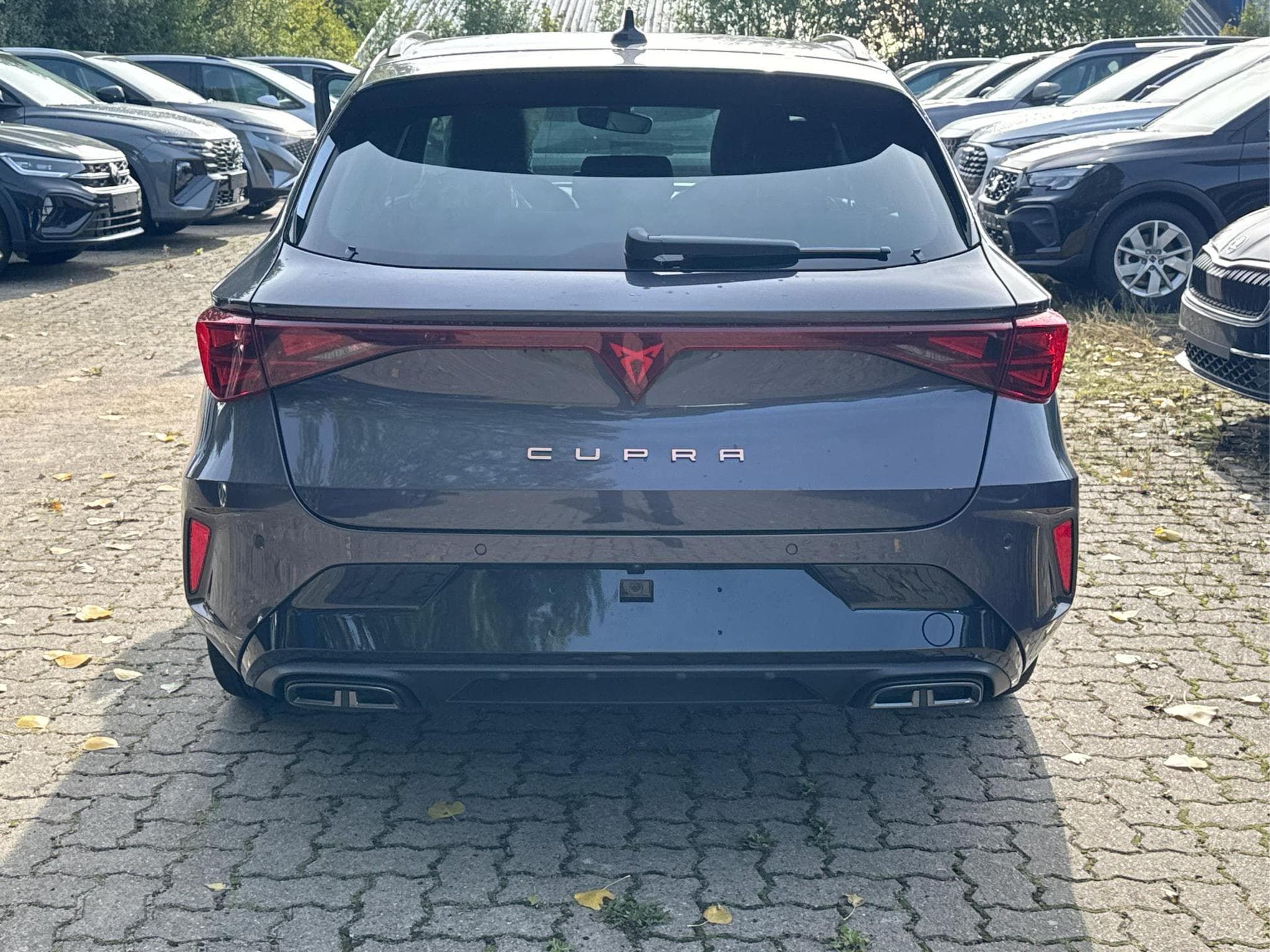 Cupra Leon Leon Sportstourer (2026) - Foto 4