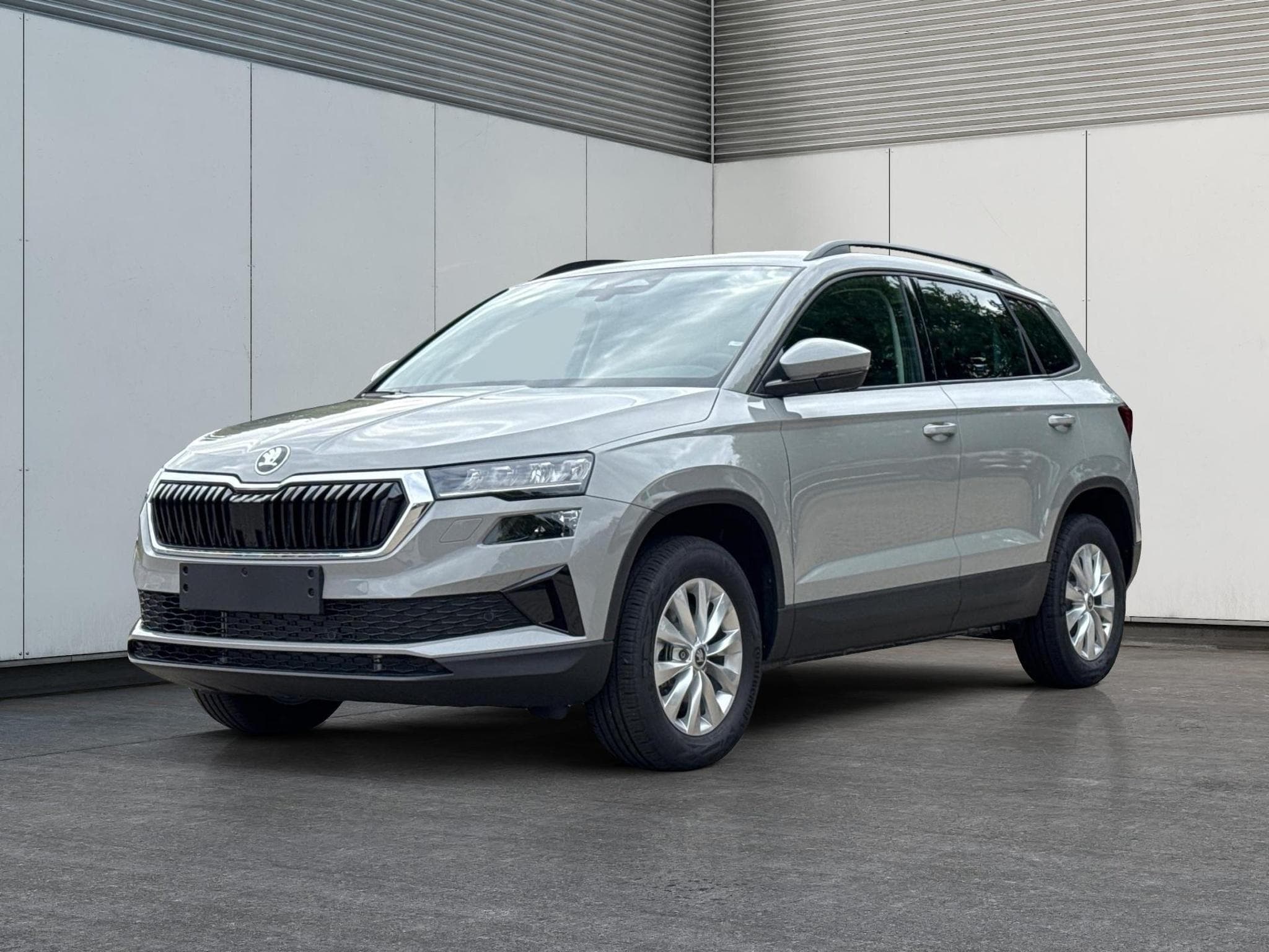 Skoda Karoq Selection (2026) - Photo 1