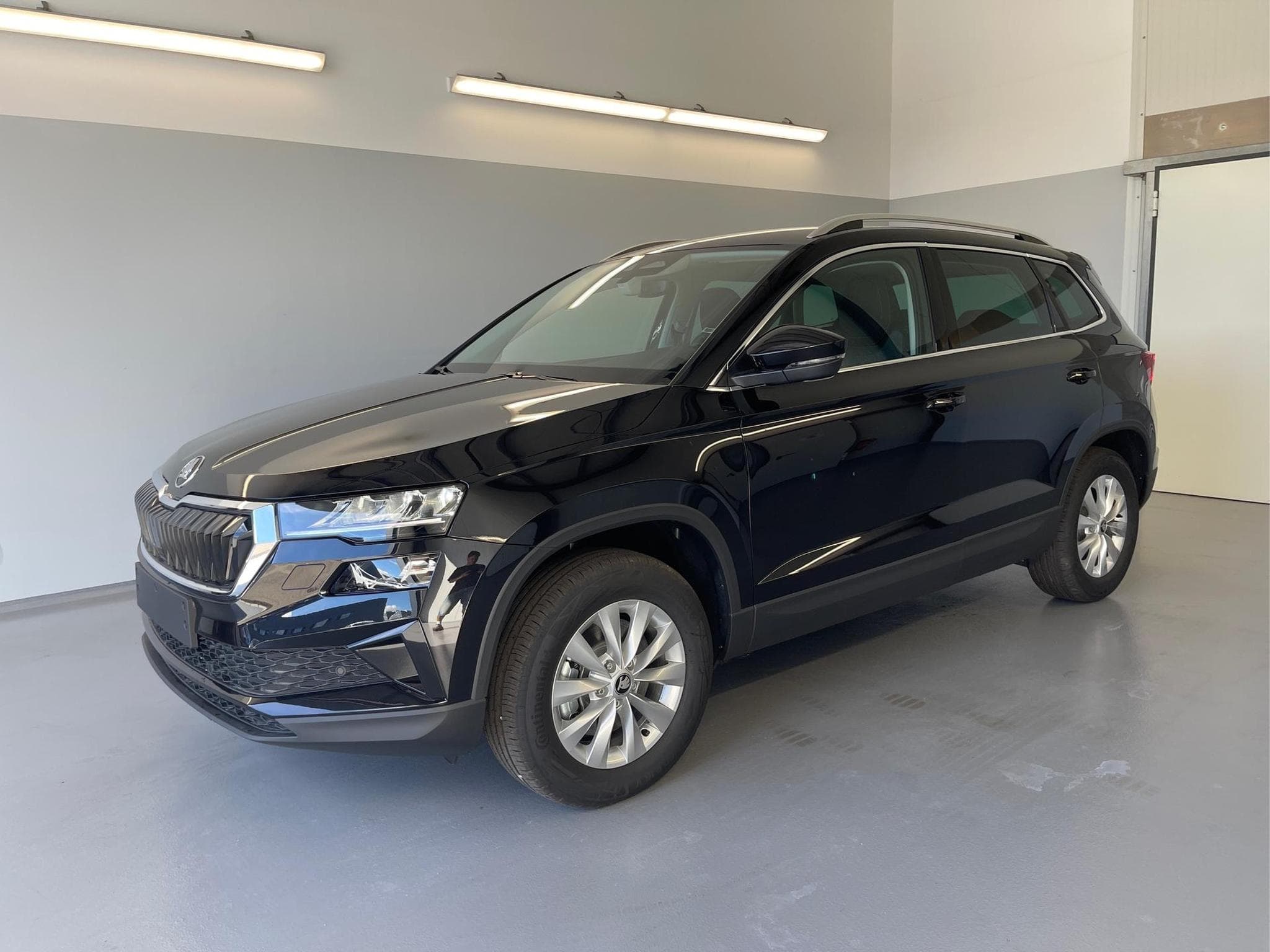 Skoda Karoq Selection (2026) - Photo 1