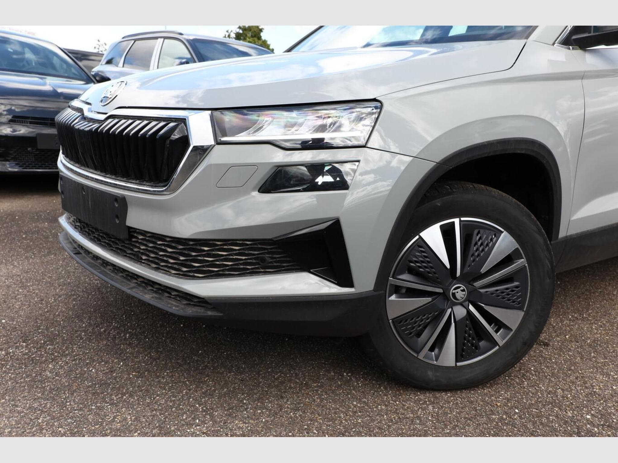 Skoda Karoq Selection (2026) - Photo 5