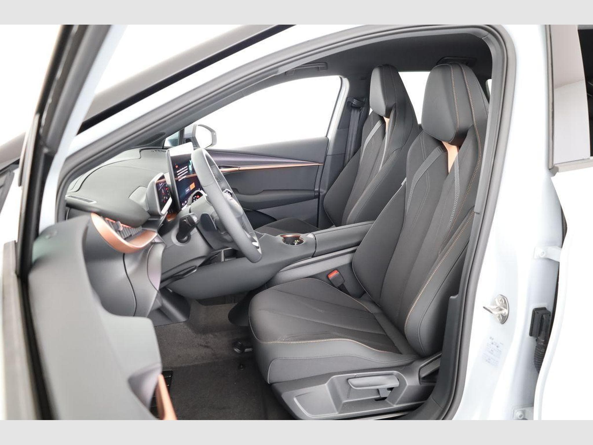 Cupra Tavascan 250 kW 4Drive VZ (2026) - Photo 9
