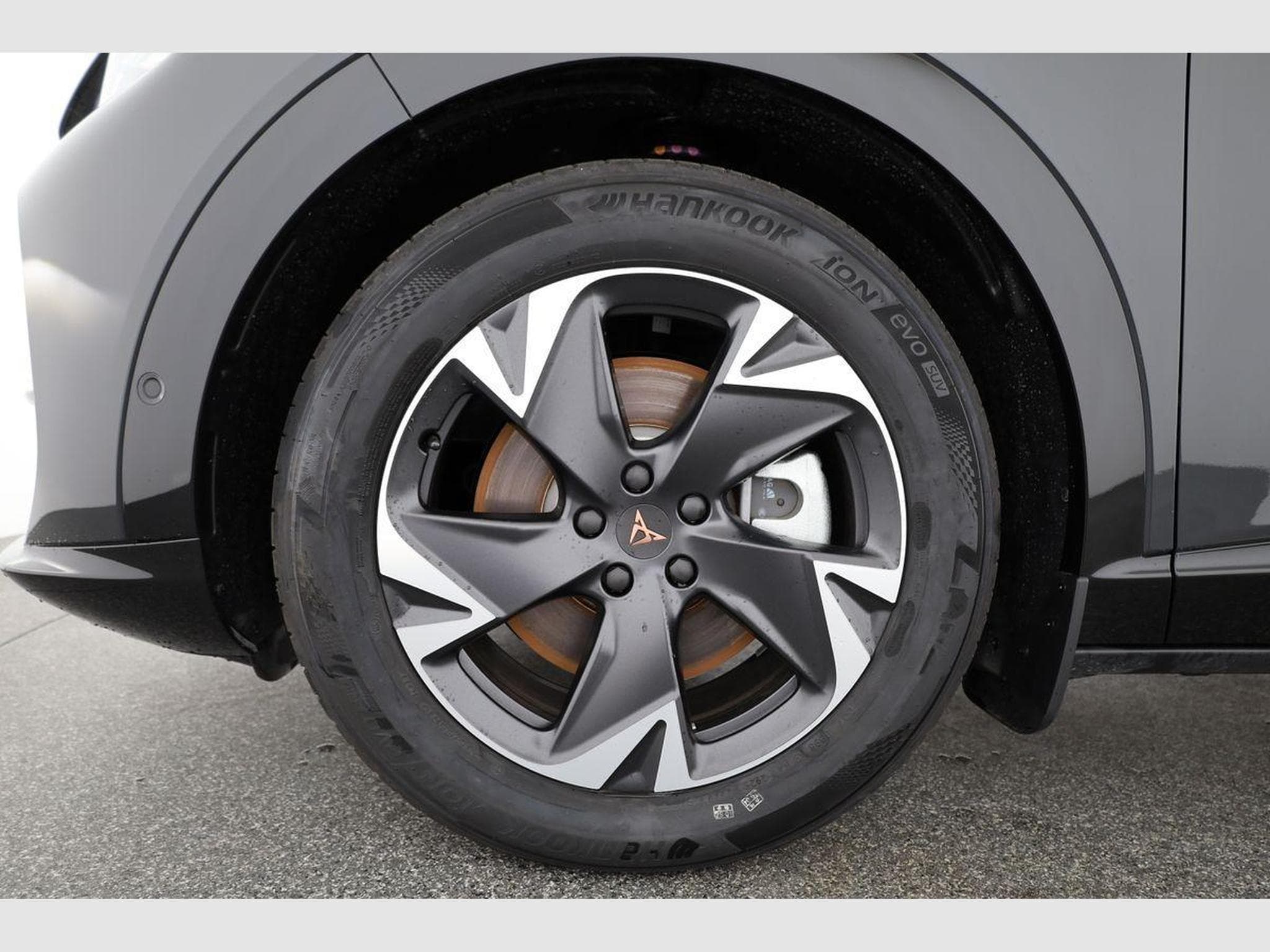 Cupra Tavascan 210 kW Endurance (2026) - Photo 13