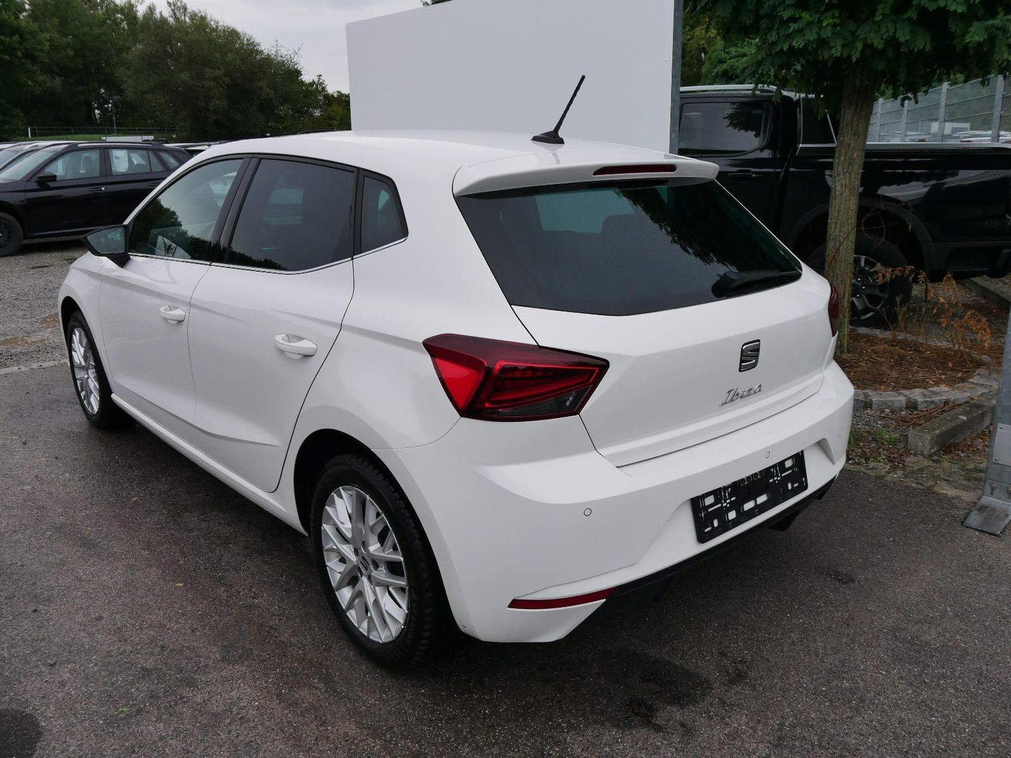 Seat Ibiza Xcellence (2025) - Foto 5