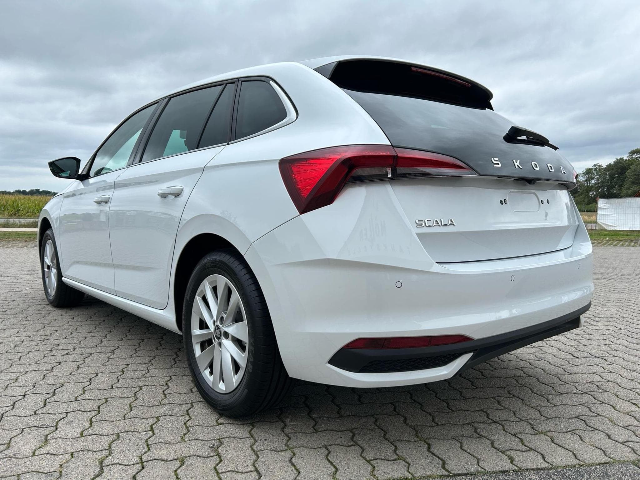 Skoda Scala Selection (2025) - Photo 17
