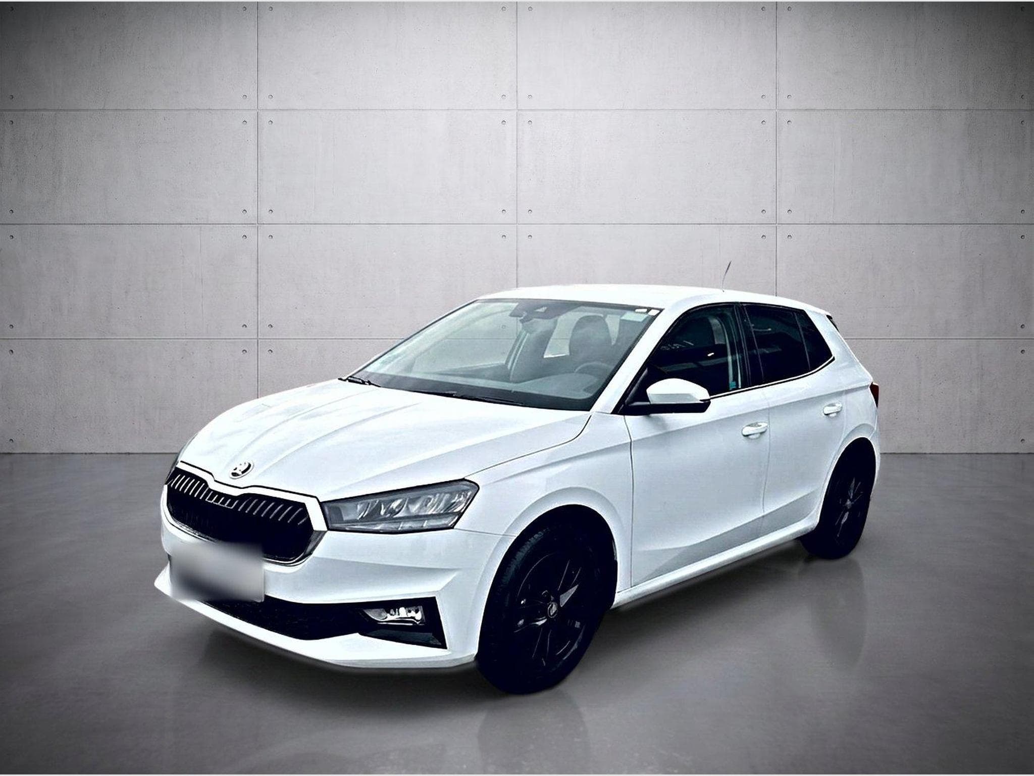 Skoda Fabia Selection (2025) - Photo 1