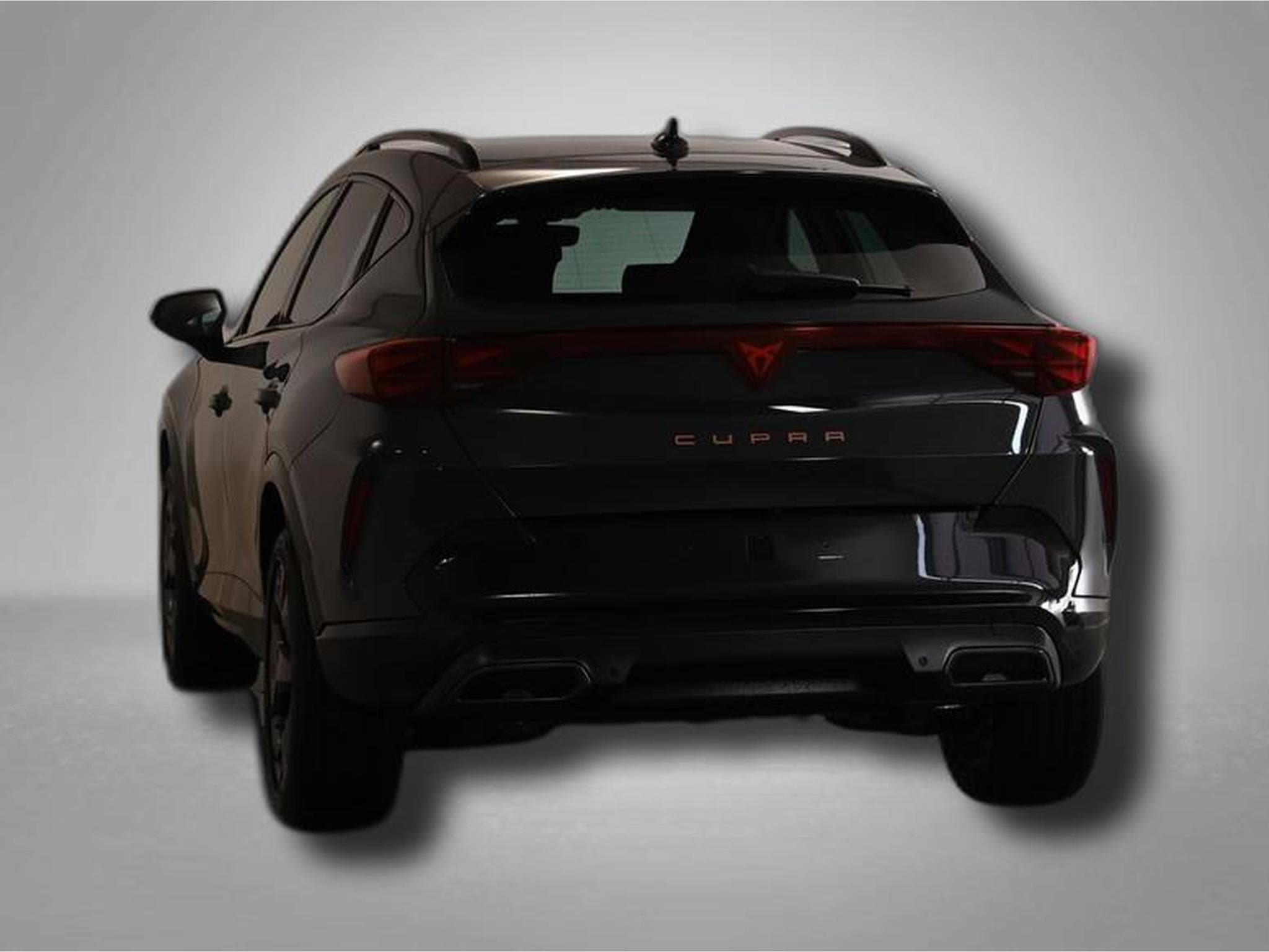 Cupra Formentor 2.0 TSI 7-Gang-DSG 4Drive (2026) - Photo 4