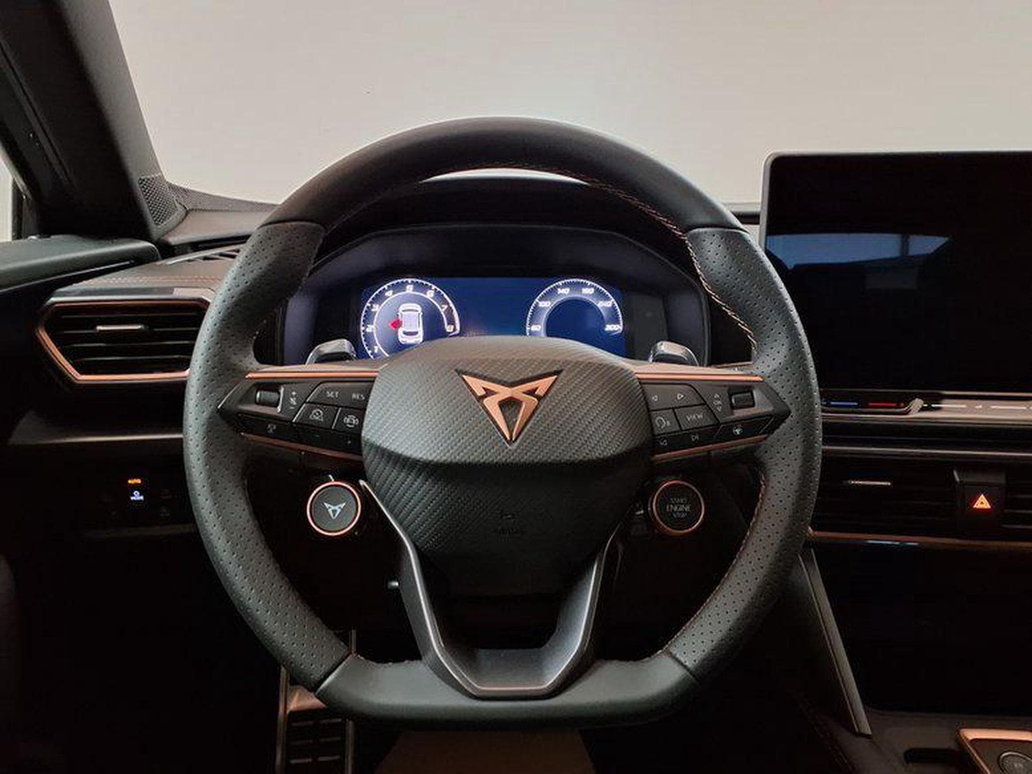 Cupra Formentor 2.0 TSI 7-Gang-DSG 4Drive (2026) - Photo 12