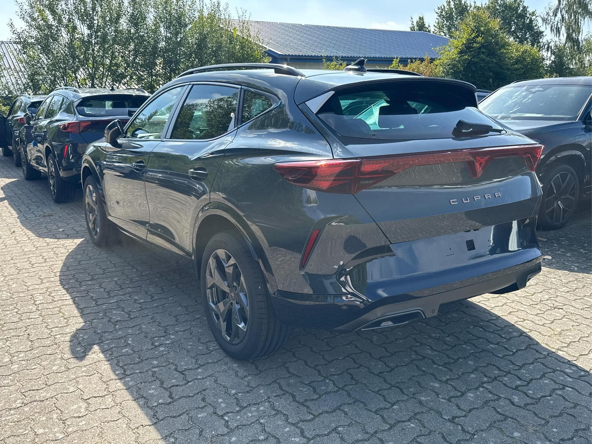 Cupra Formentor Formentor (2026) - Photo 6