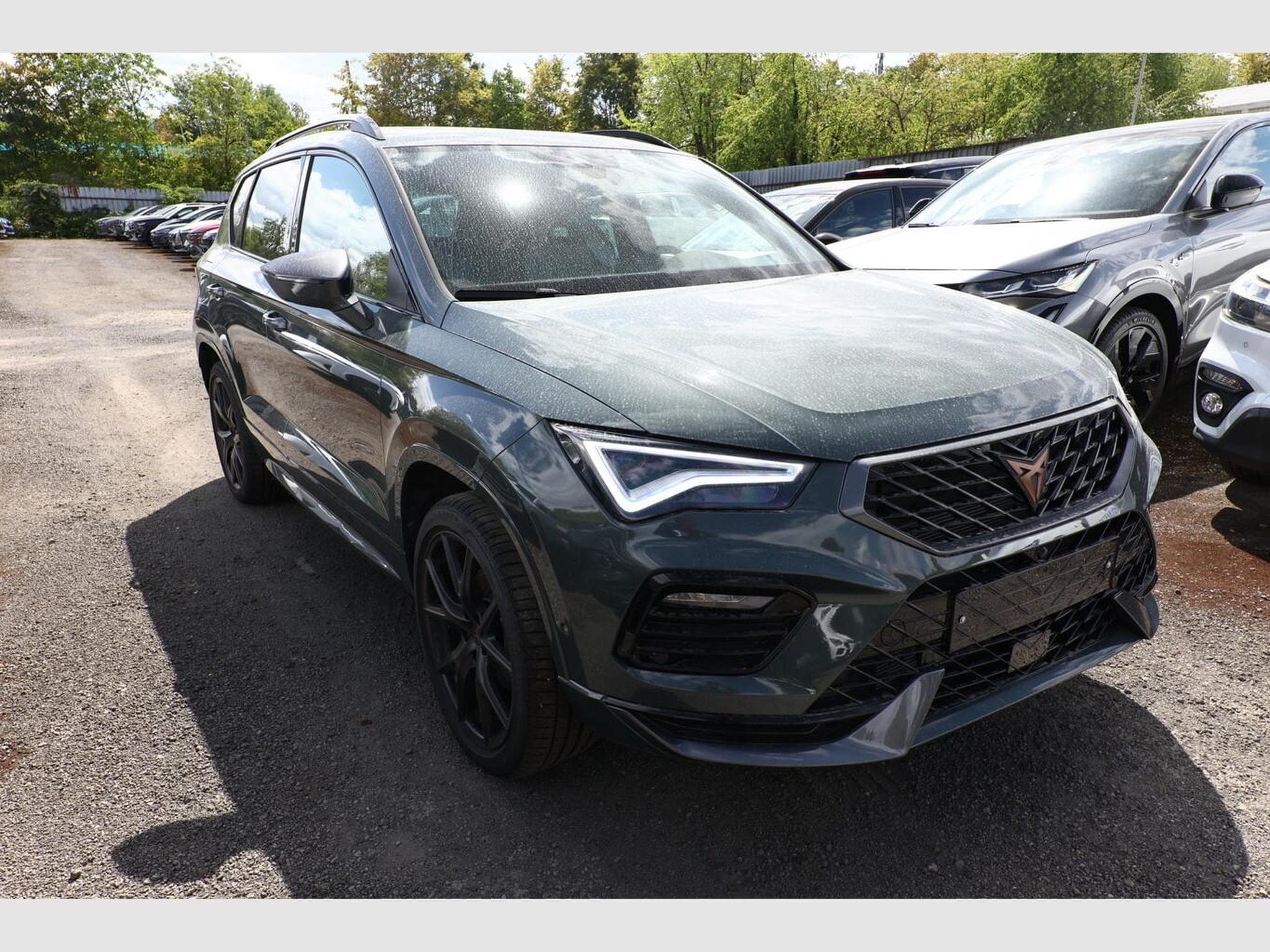 Cupra Ateca Tribe Edition (2026) - Photo 2