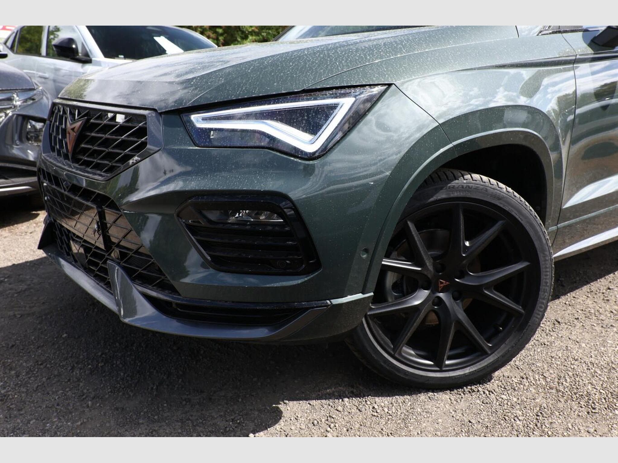 Cupra Ateca Tribe Edition (2026) - Photo 5