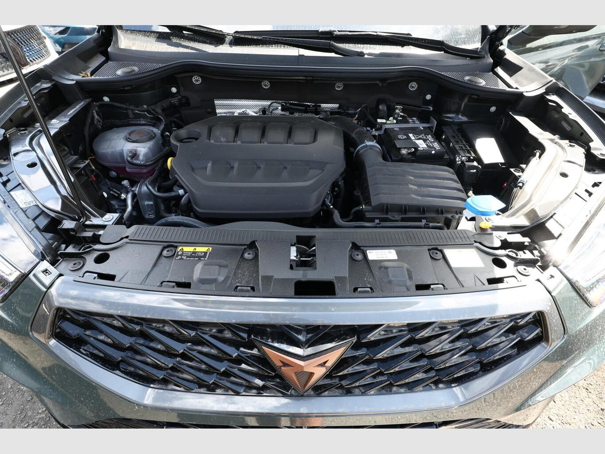 Cupra Ateca Tribe Edition (2026) - Photo 12